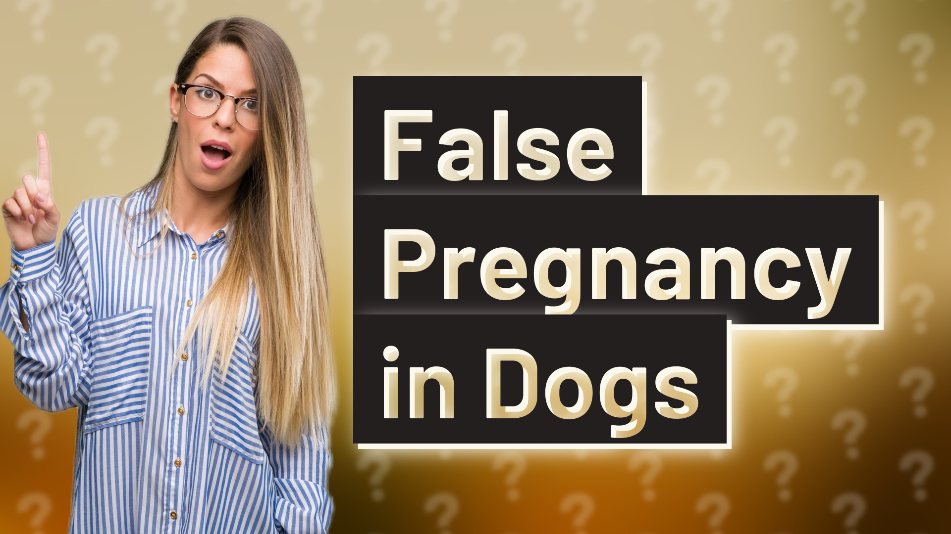 False Pregnancy in Dogs