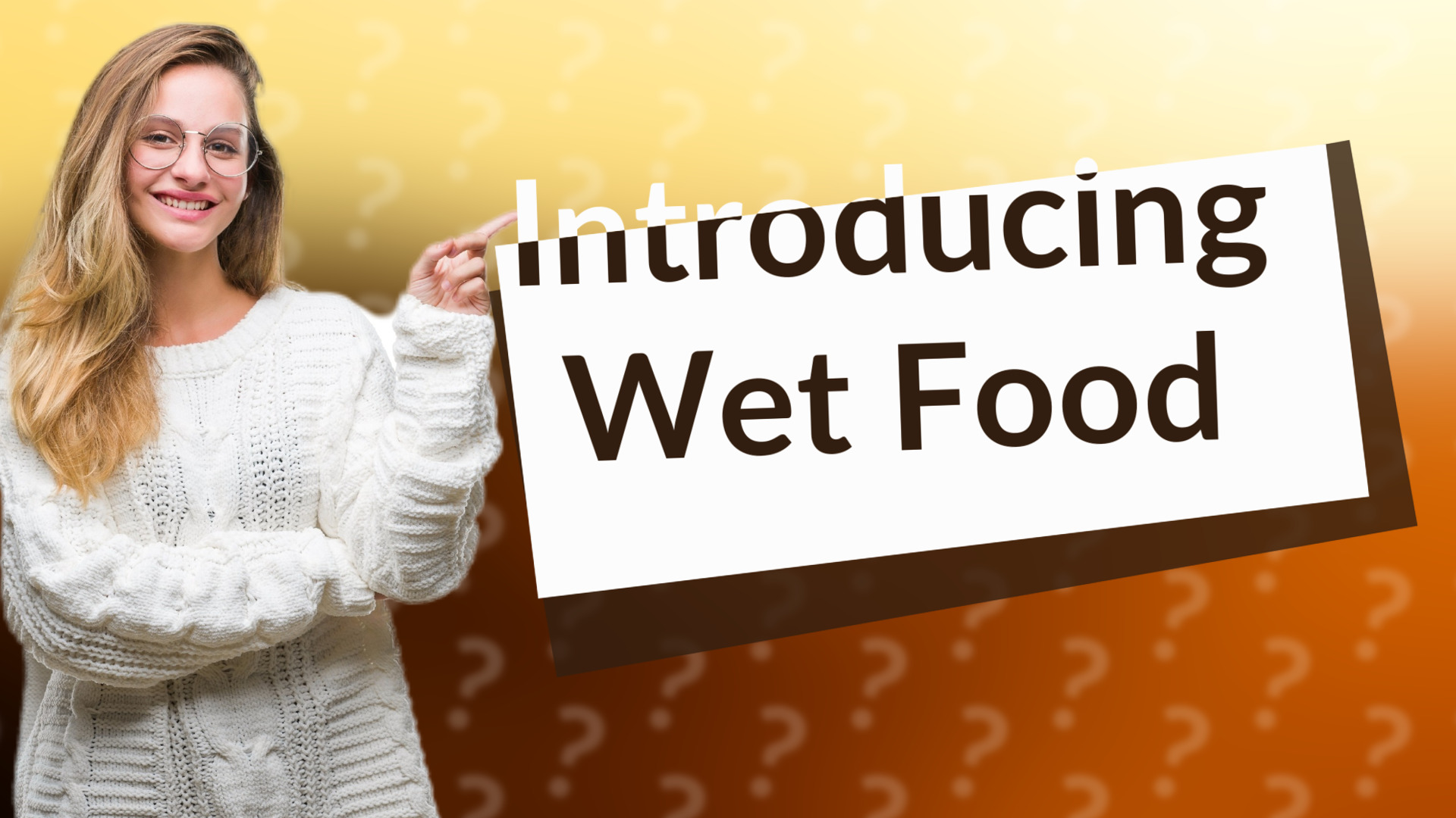 Introducing Wet Food