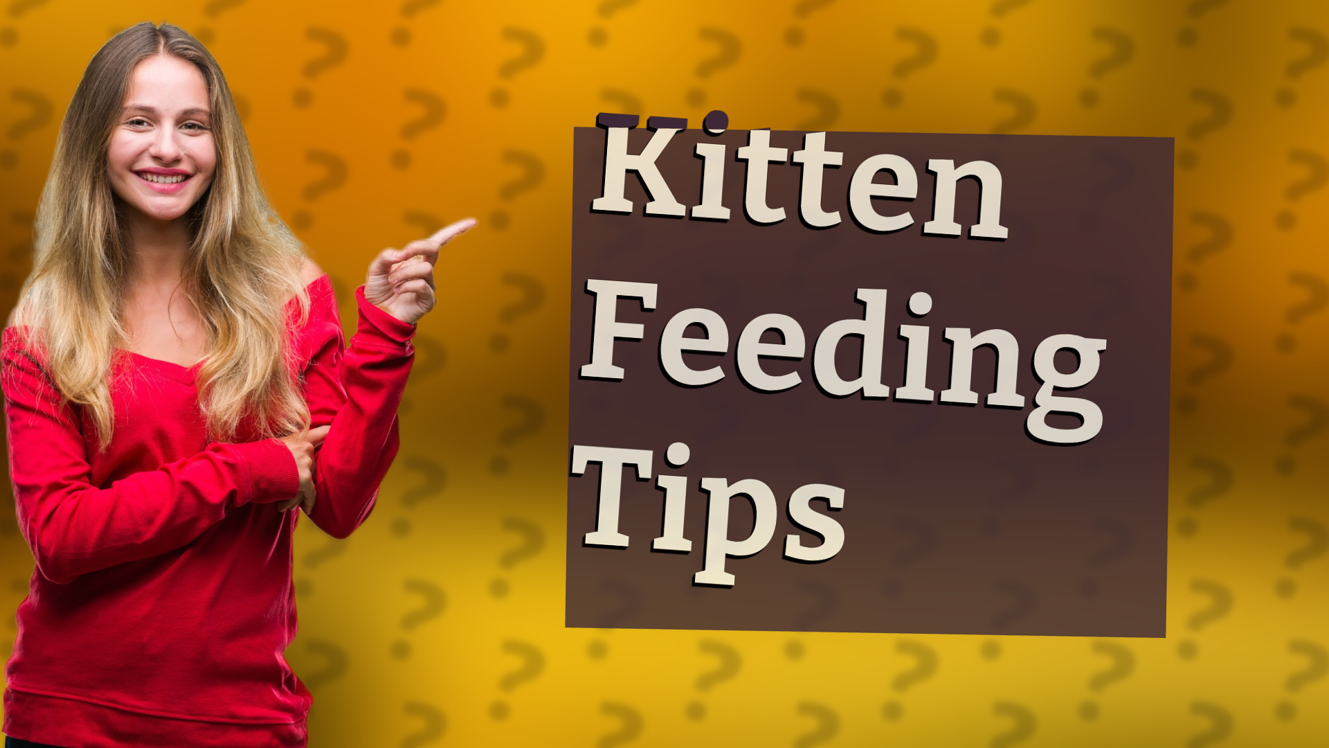 Kitten Feeding Tips