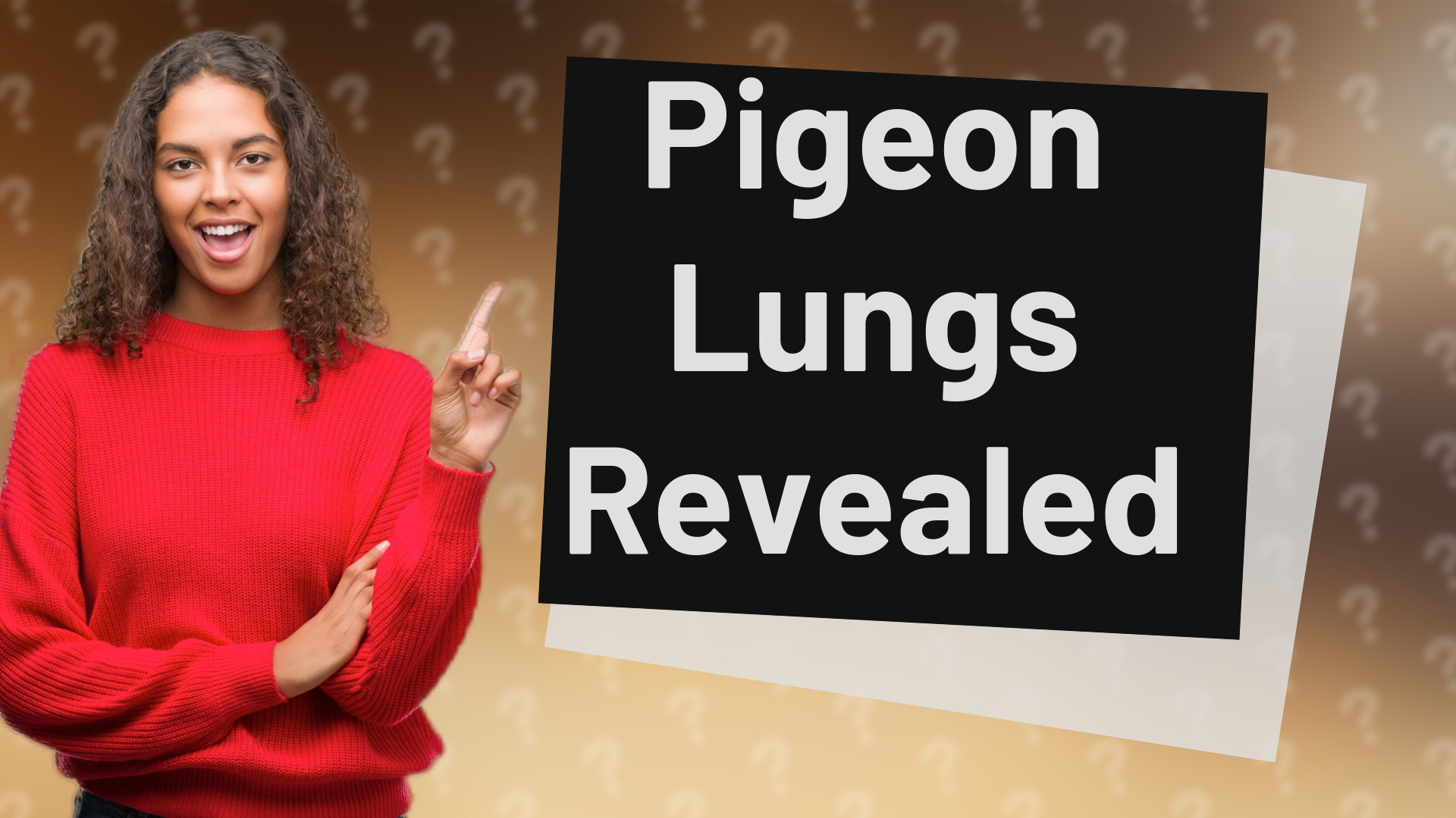 Pigeon Lungs Revealed