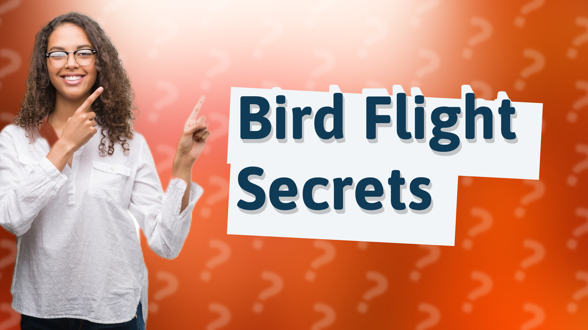 Bird Flight Secrets