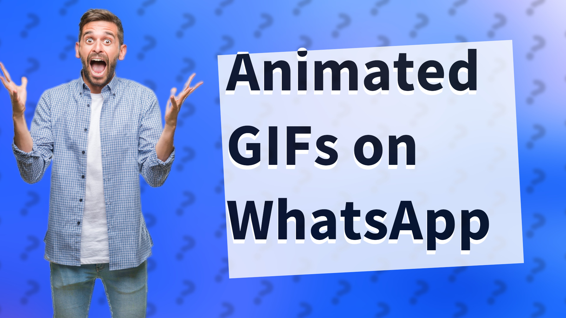 Animated GIFs on WhatsApp