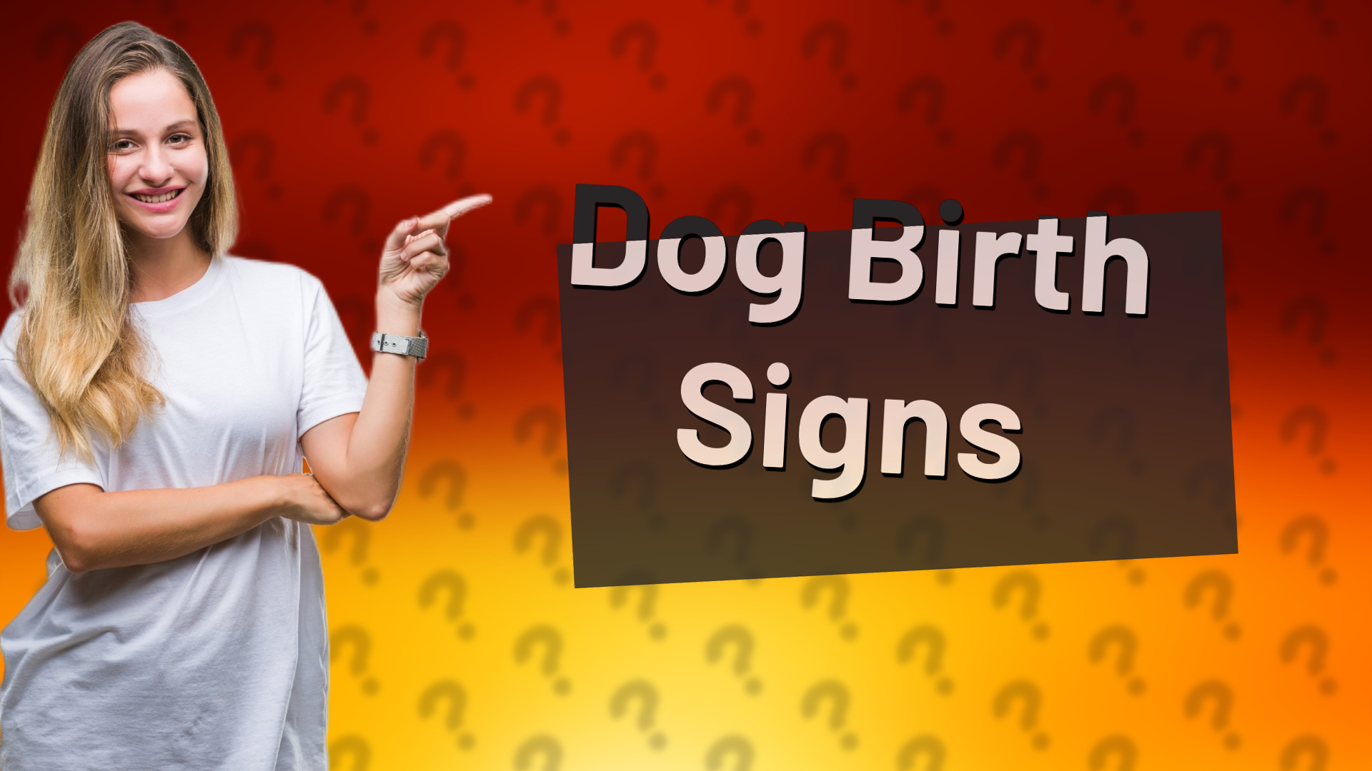 Dog Birth Signs
