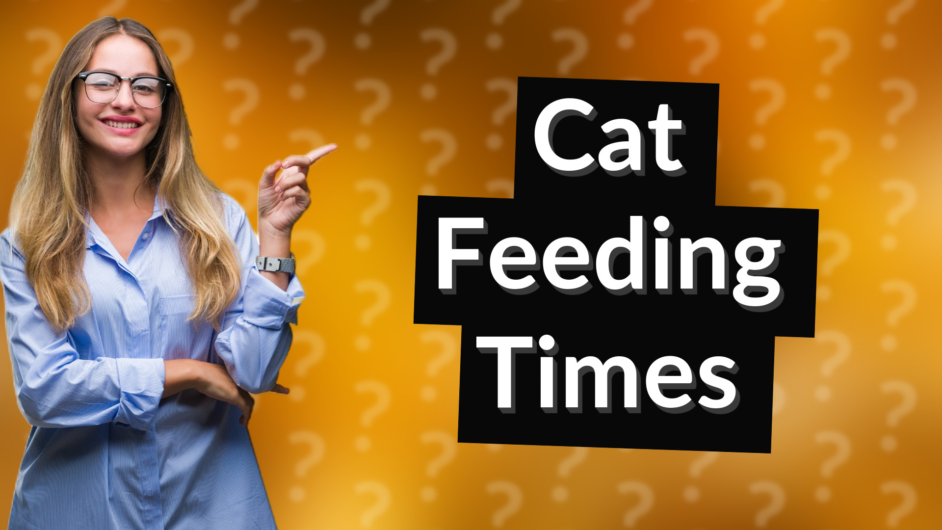Cat Feeding Times
