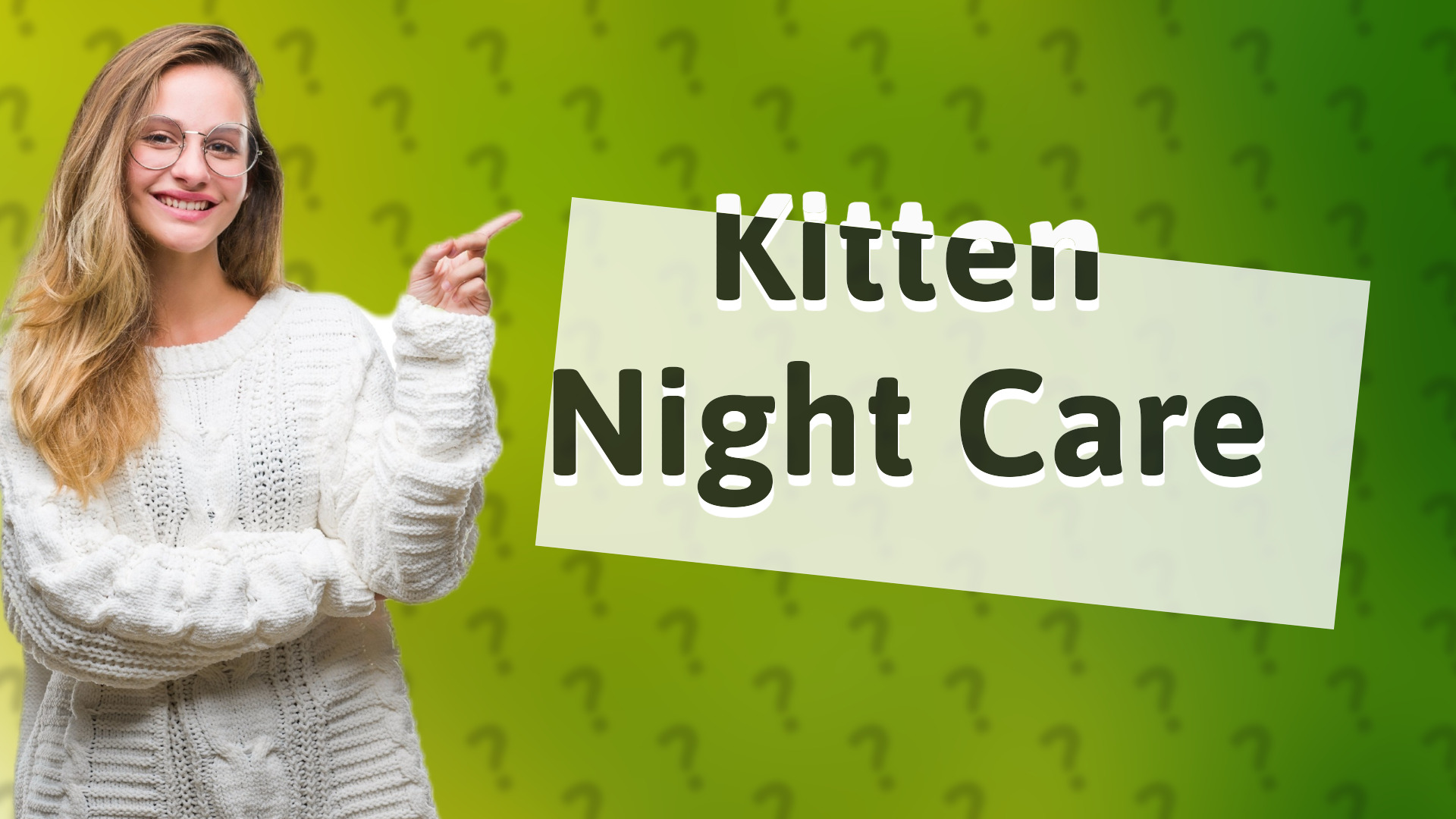 Kitten Night Care