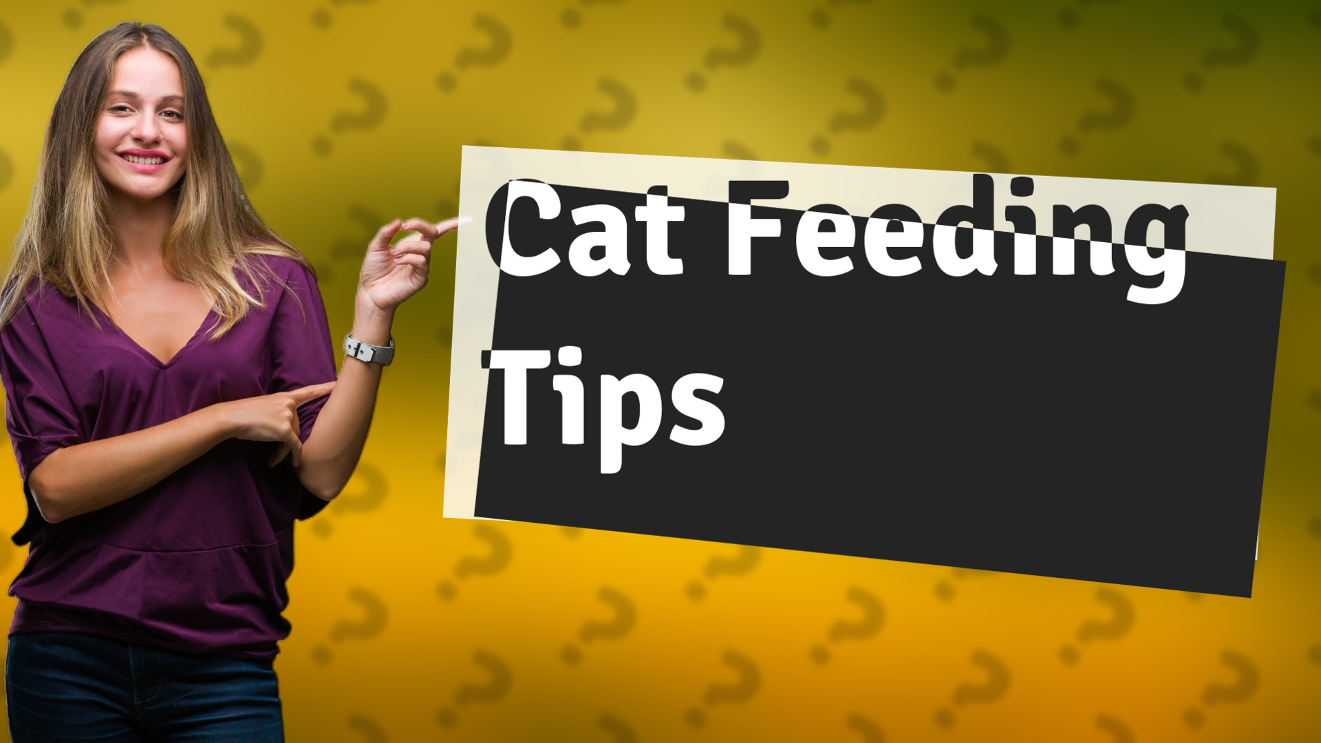 Cat Feeding Tips