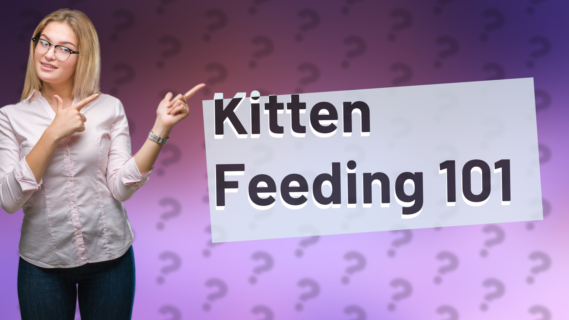 Kitten Feeding 101