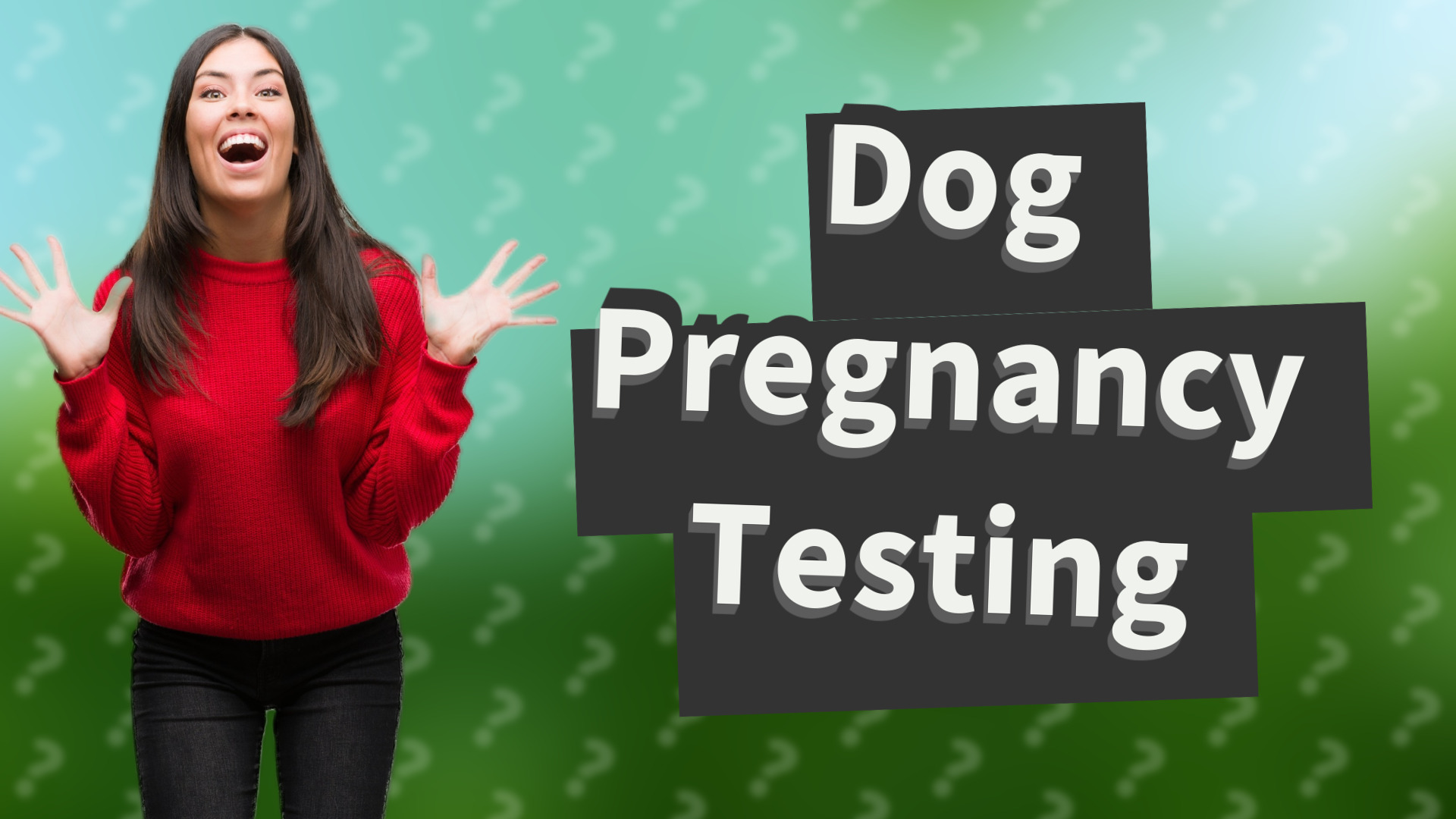 Dog Pregnancy Testing
