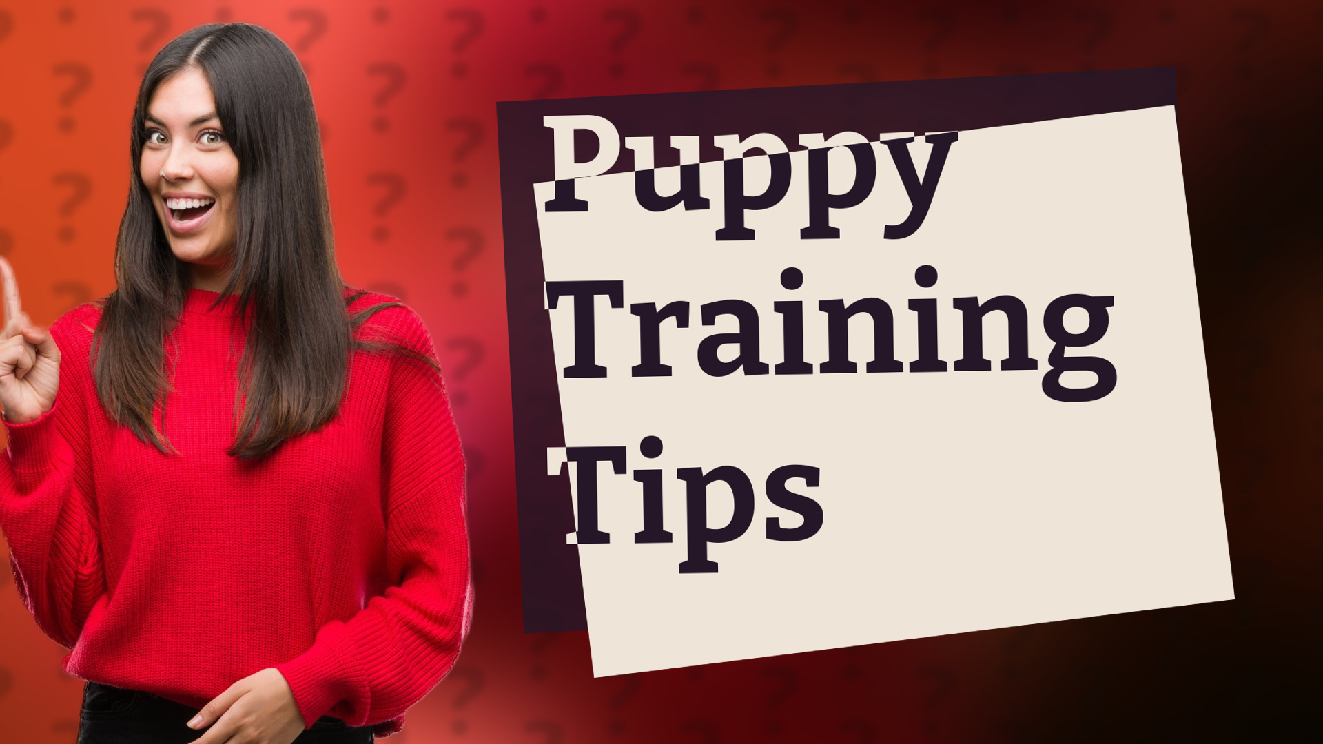 Puppy Training Tips