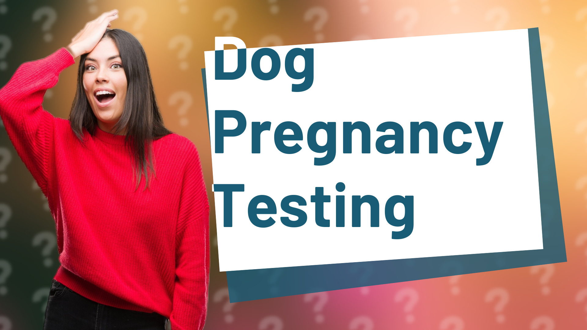 Dog Pregnancy Testing
