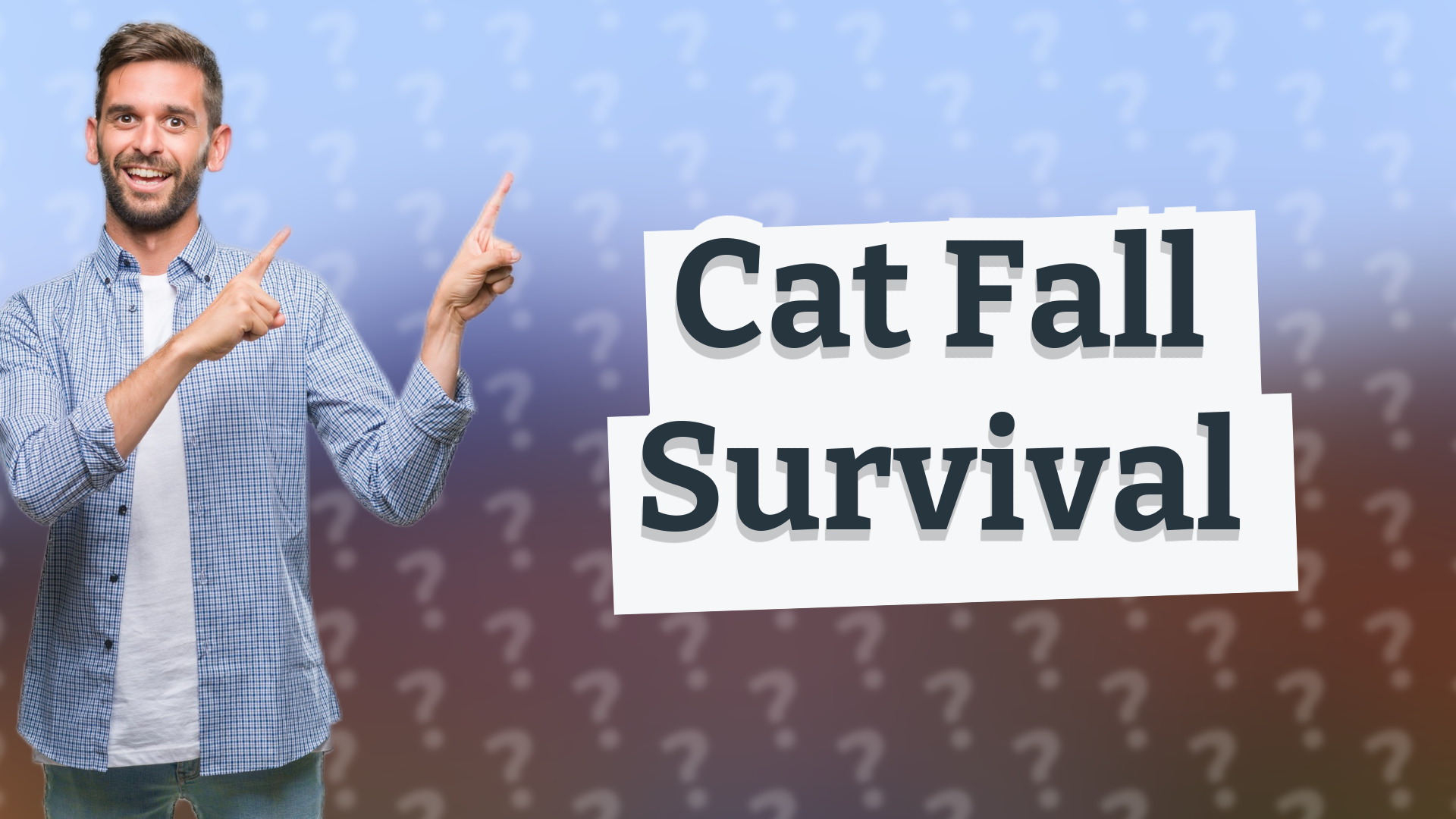 Cat Fall Survival
