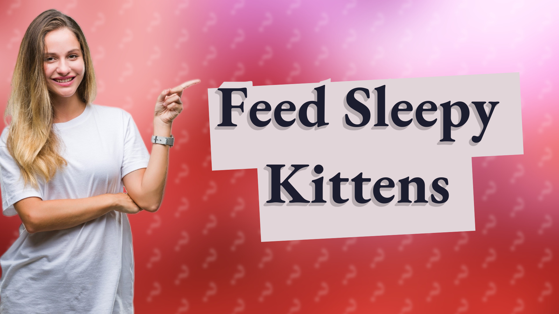 Feed Sleepy Kittens