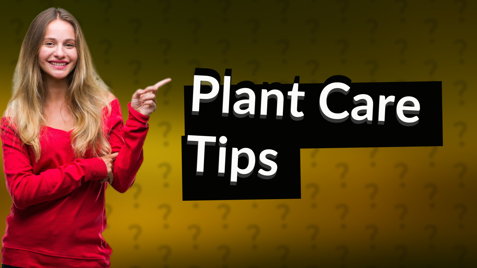 Plant Care Tips
