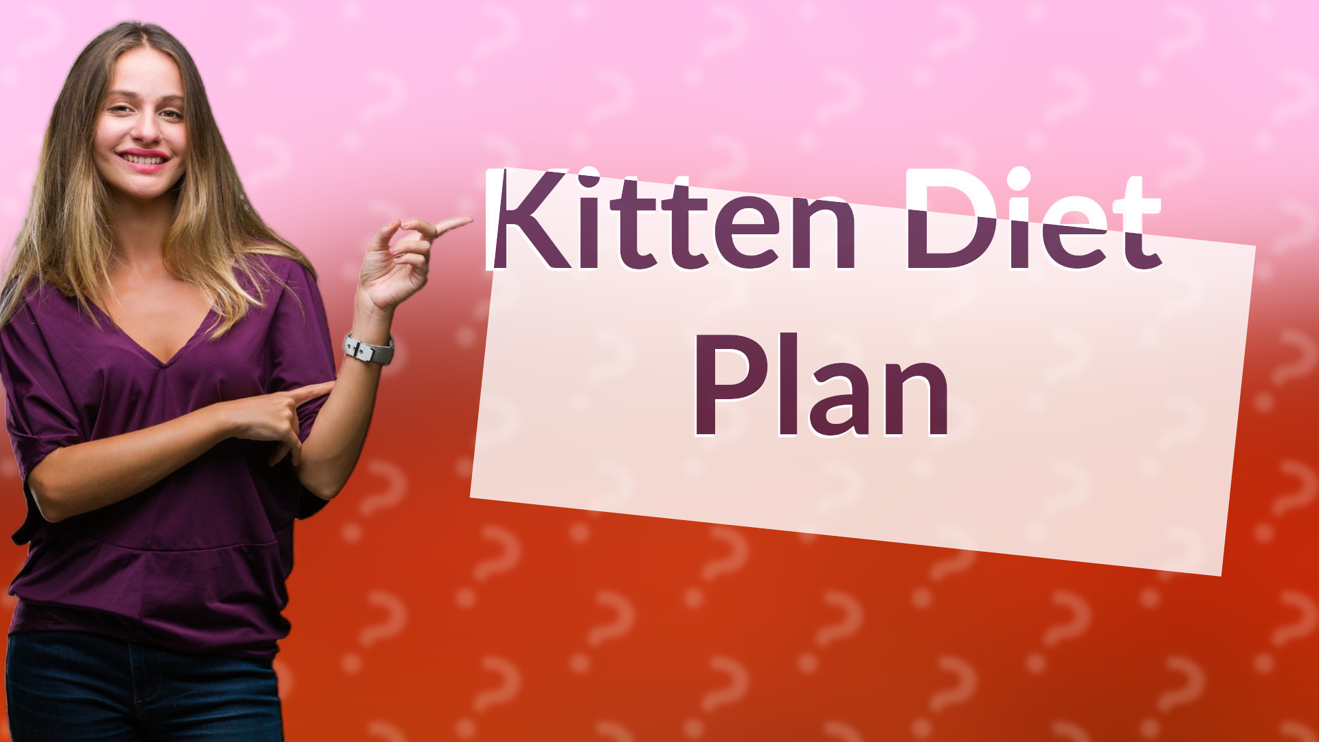 Kitten Diet Plan