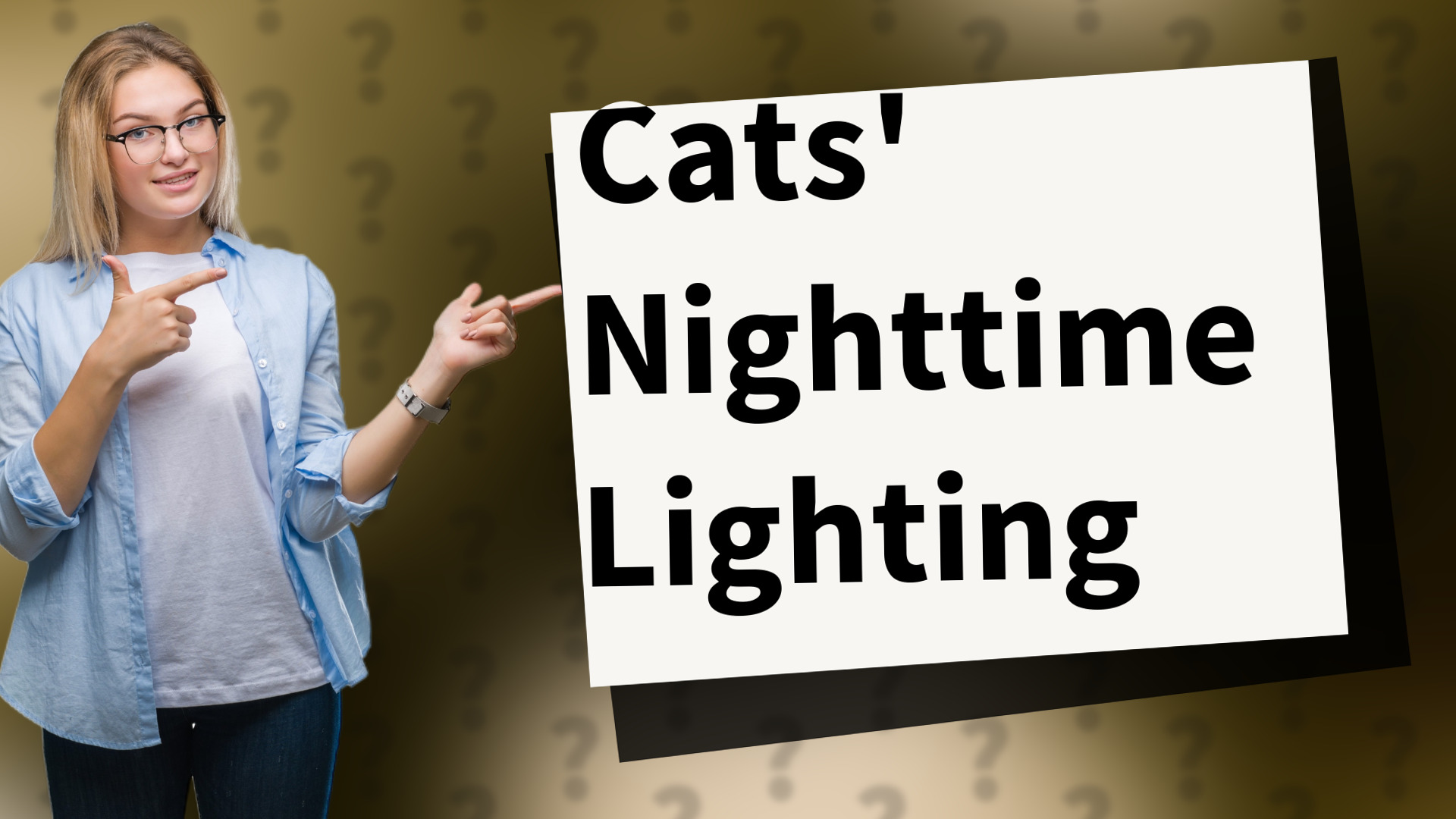 Cats' Nighttime Lighting