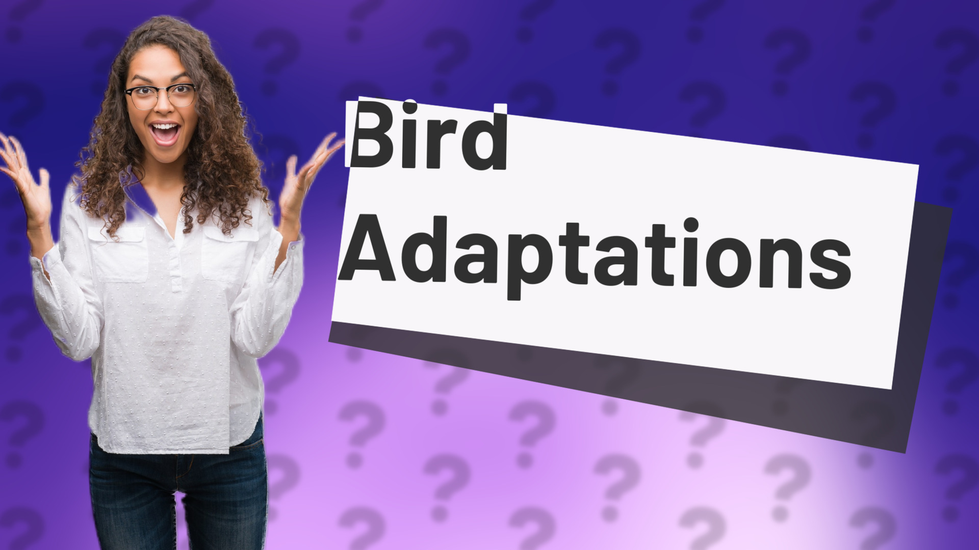 Bird Adaptations