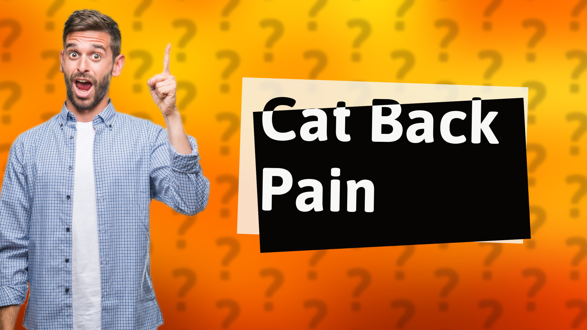 Cat Back Pain