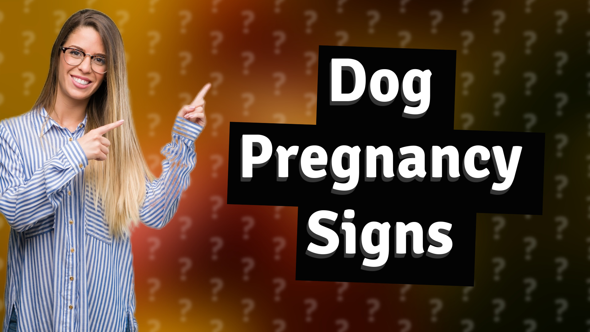 Dog Pregnancy Signs