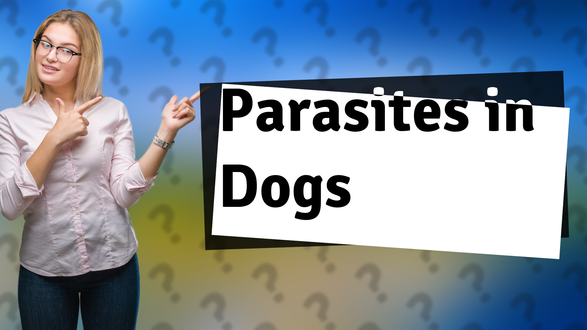 Parasites in Dogs