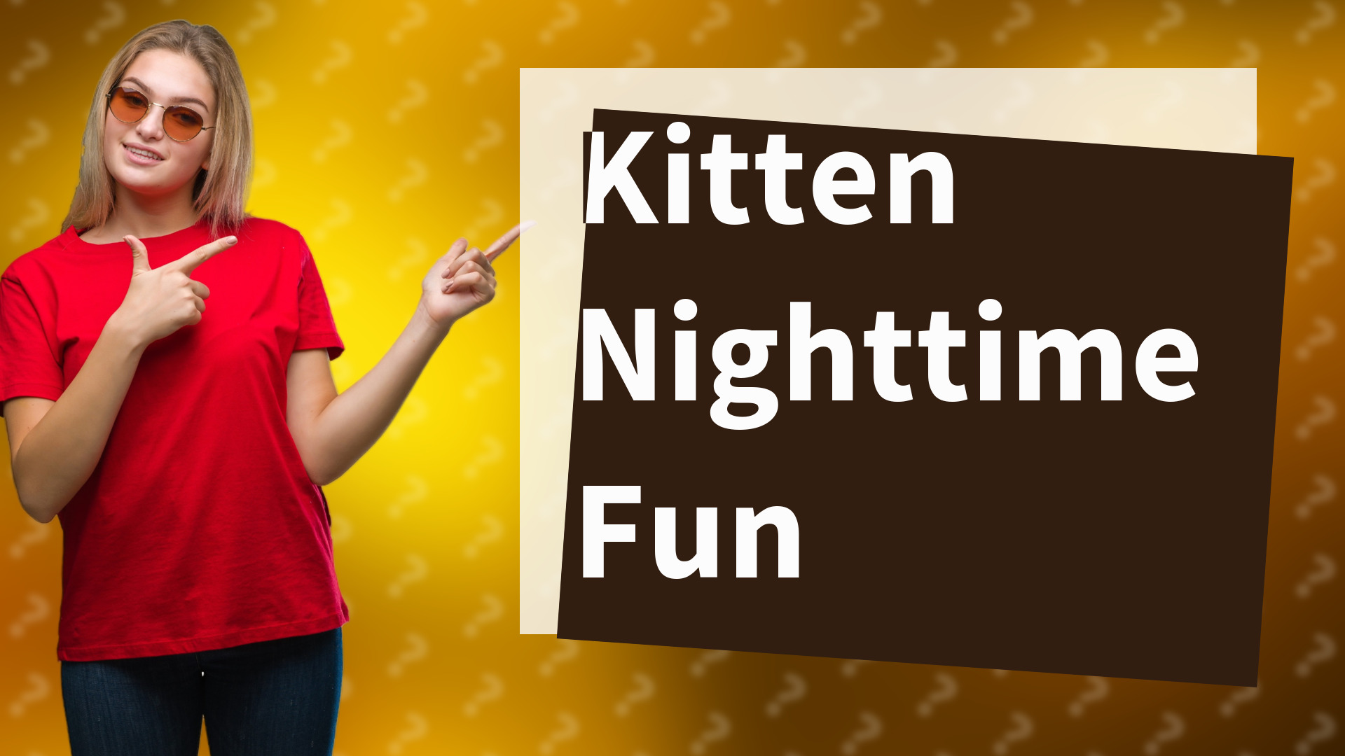 Kitten Nighttime Fun
