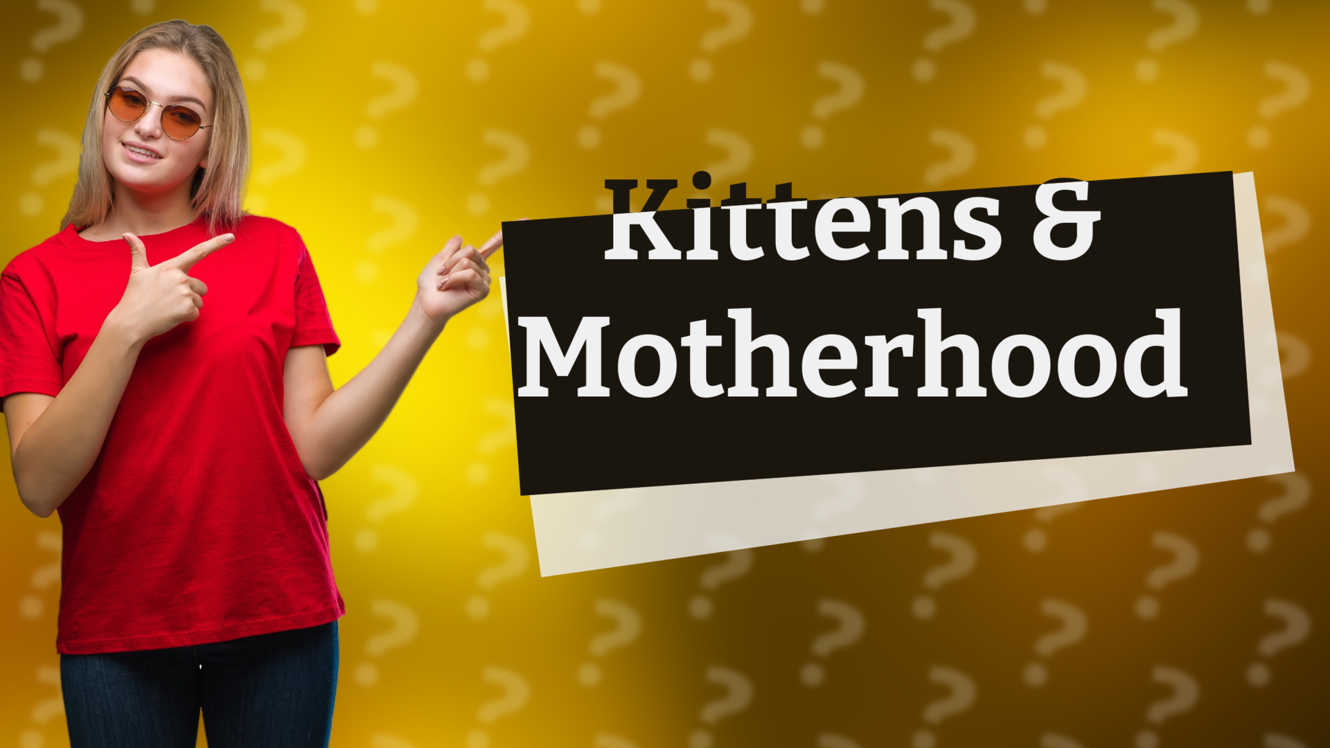 Kittens & Motherhood