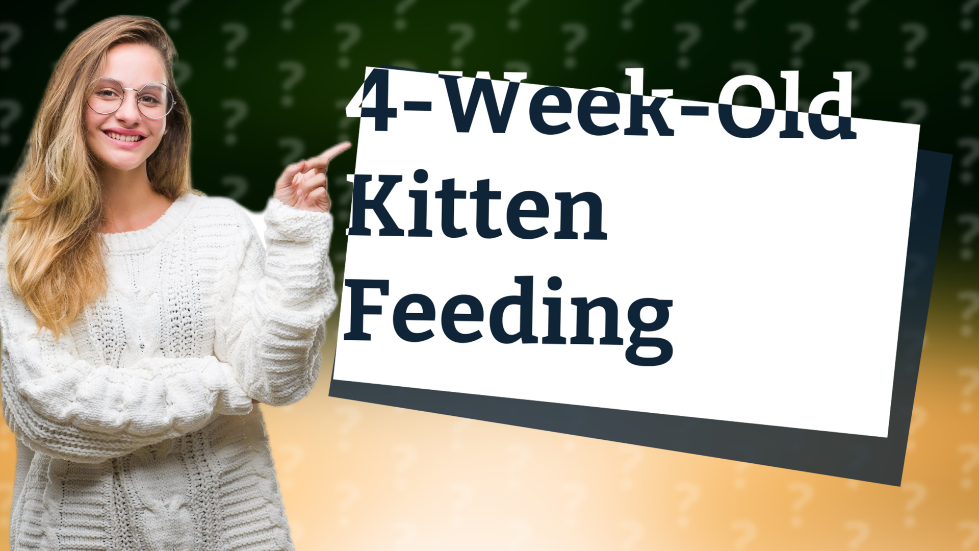 4-Week-Old Kitten Feeding