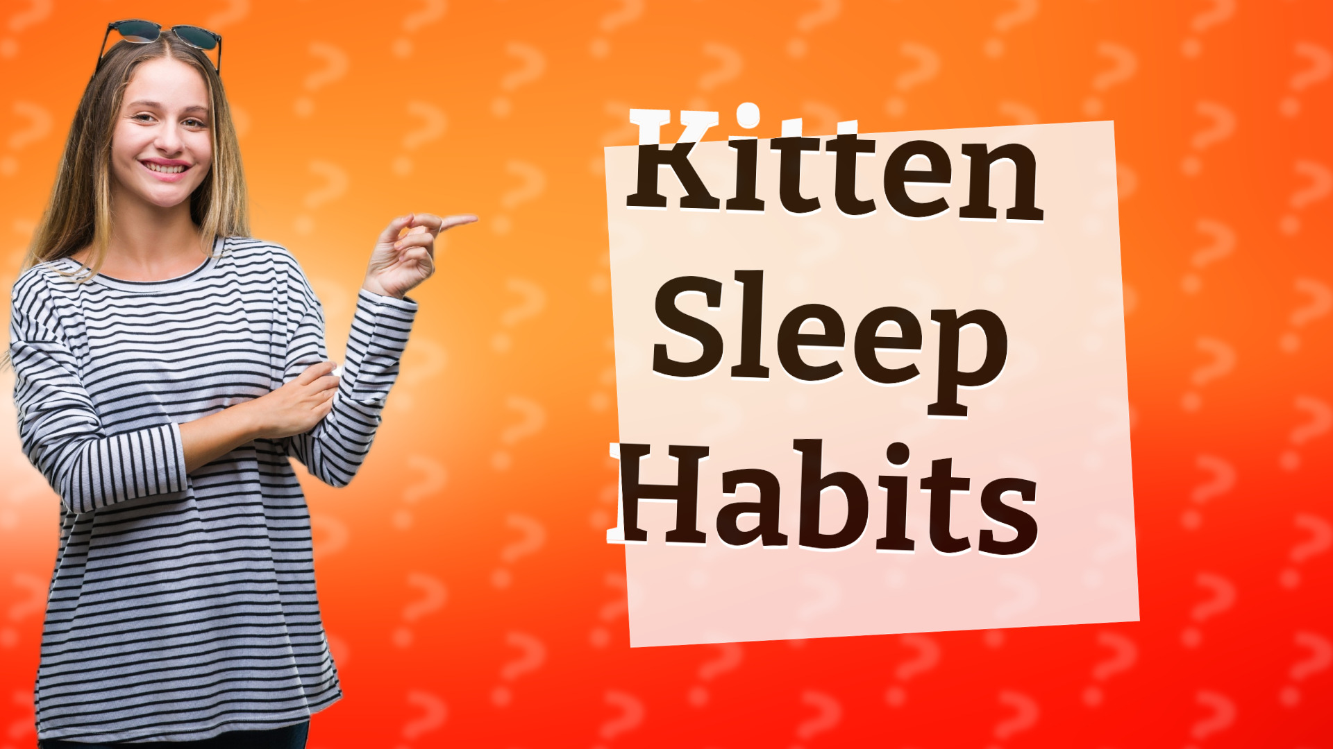 Kitten Sleep Habits