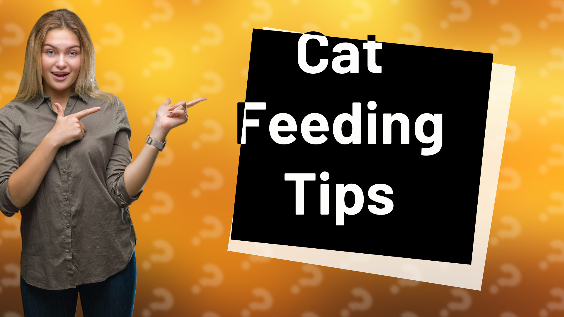 Cat Feeding Tips