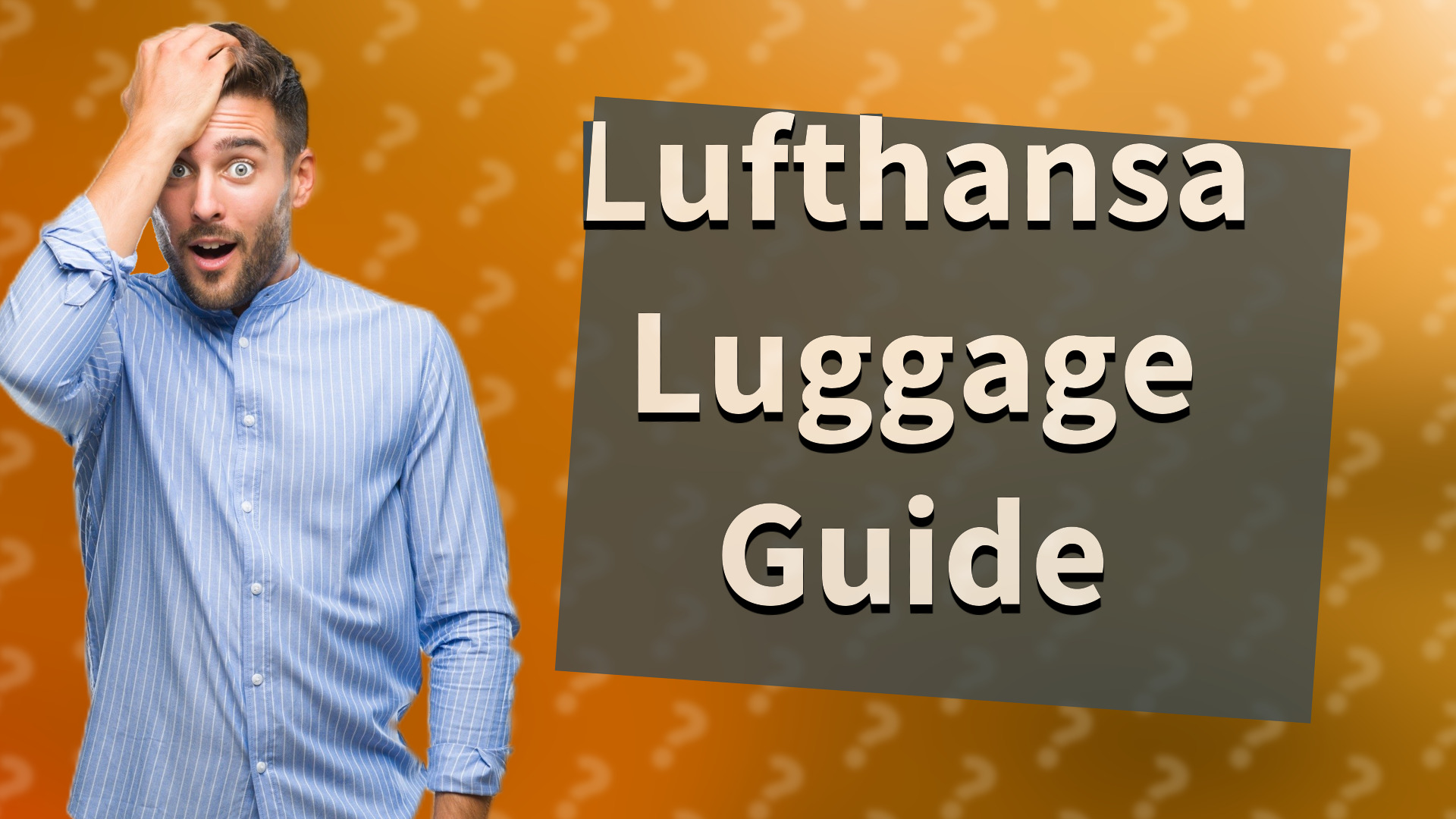 Lufthansa Luggage Guide