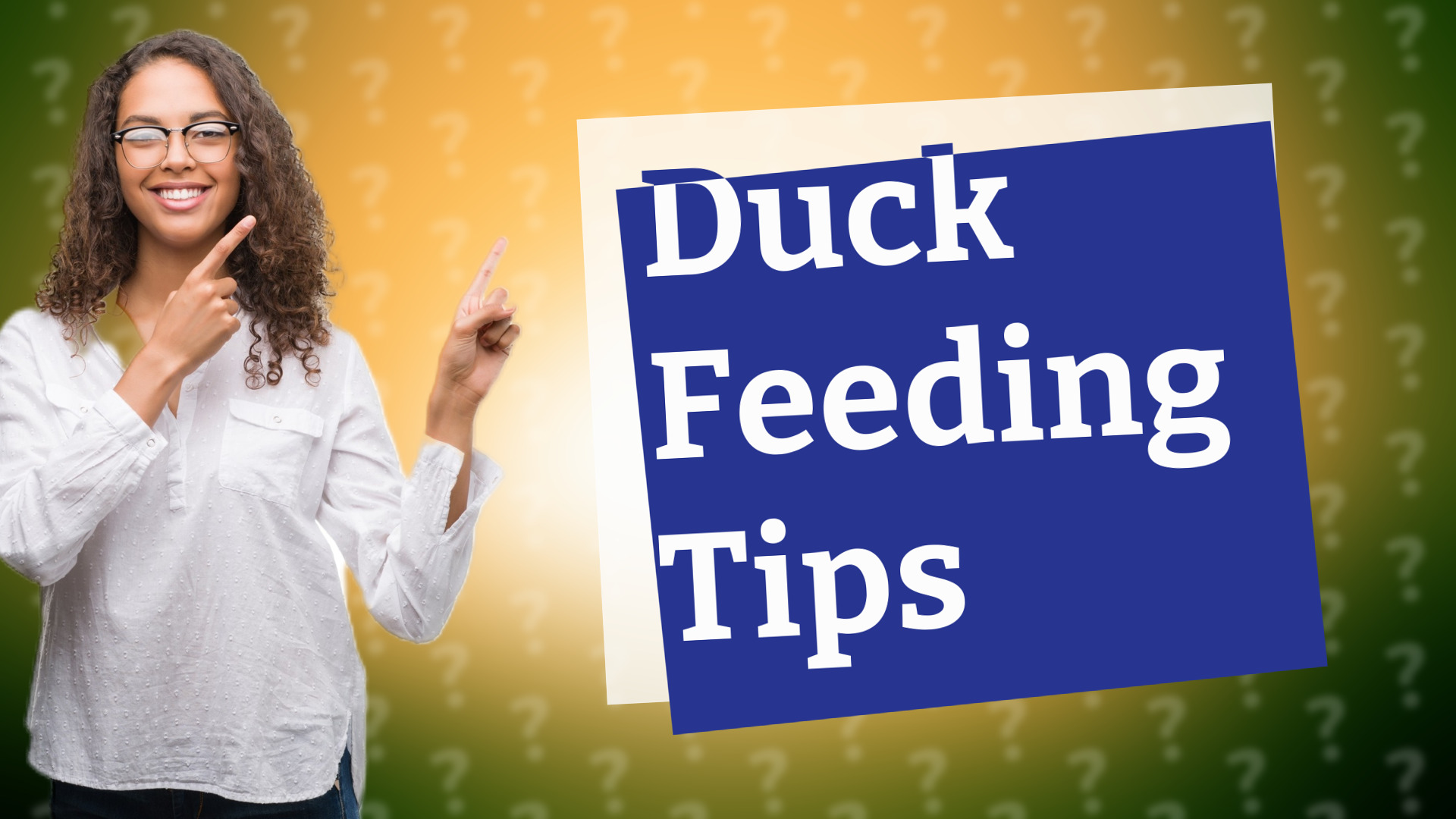 Duck Feeding Tips