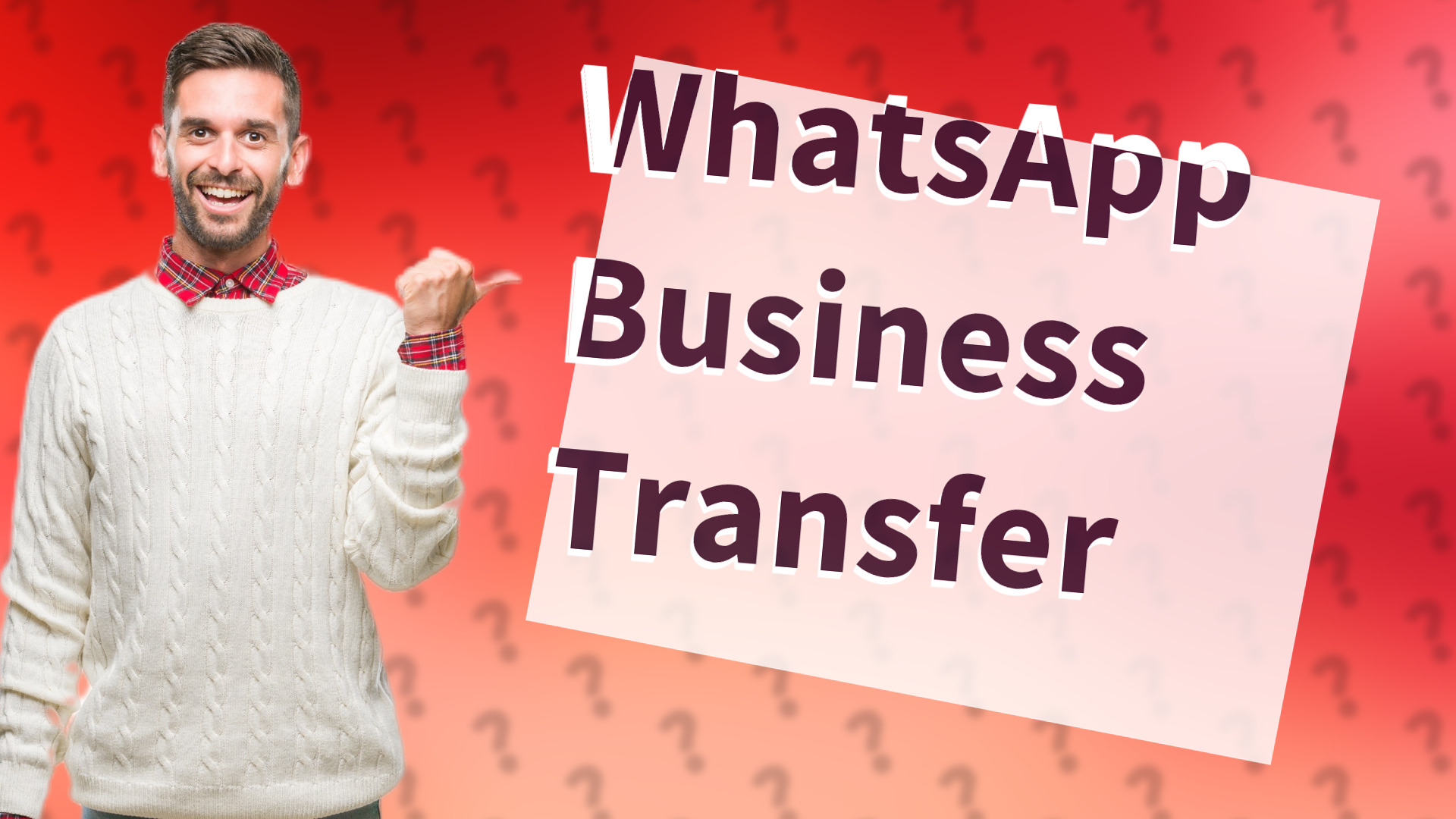 WhatsApp Business Transfer
