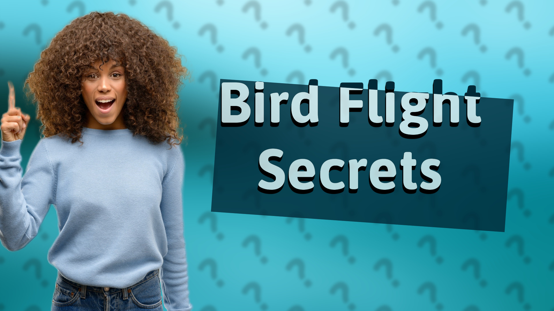Bird Flight Secrets