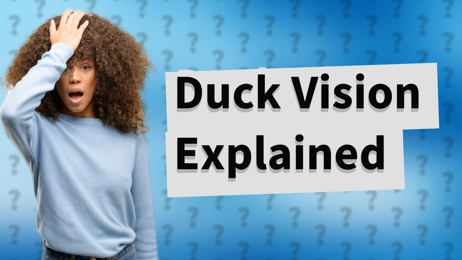 Duck Vision Explained