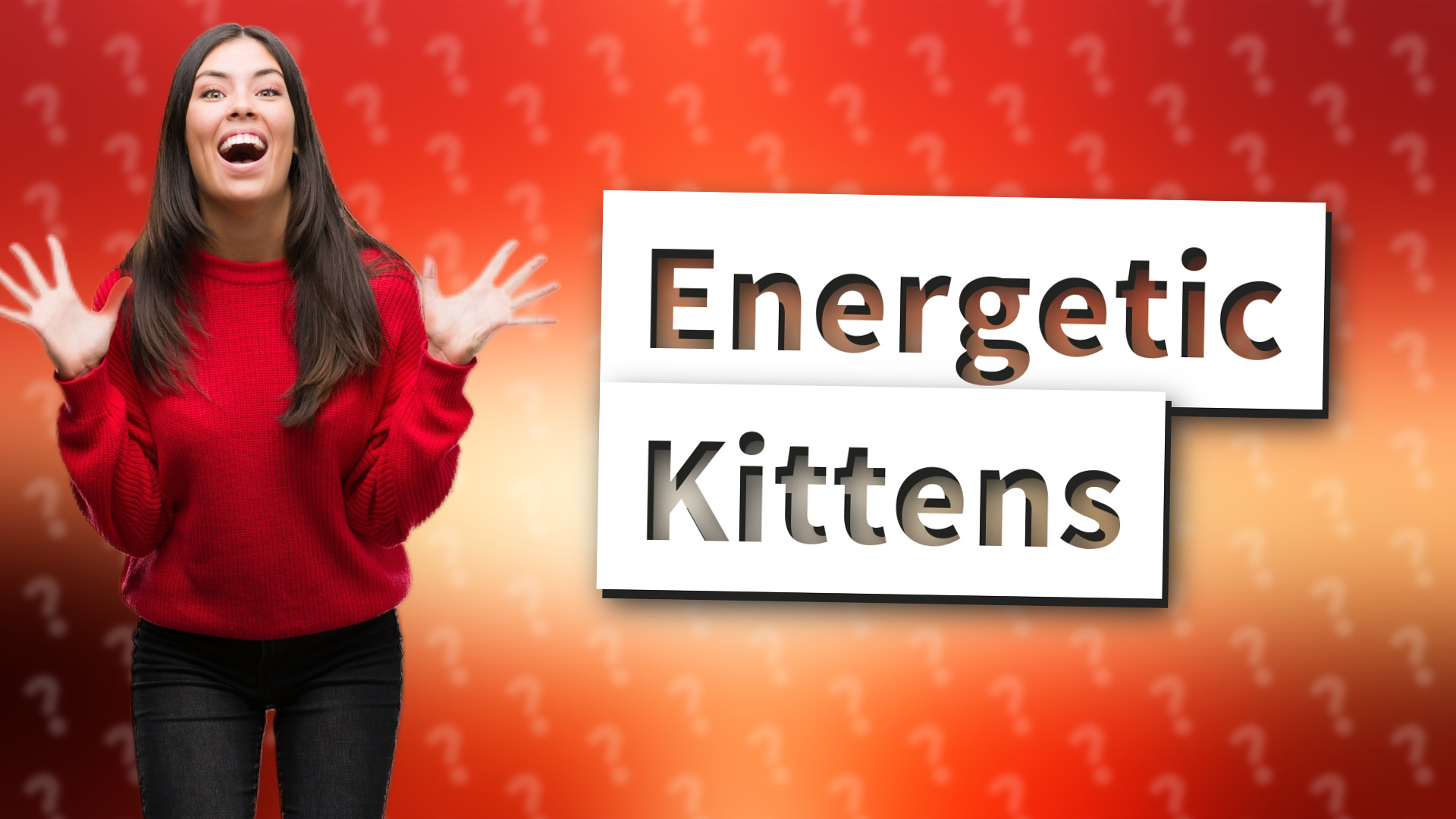 Energetic Kittens