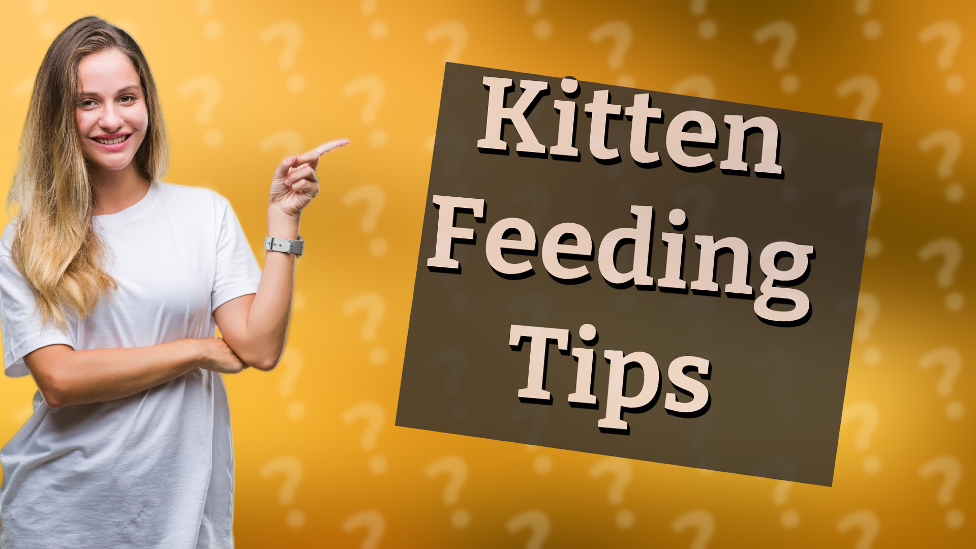 Kitten Feeding Tips
