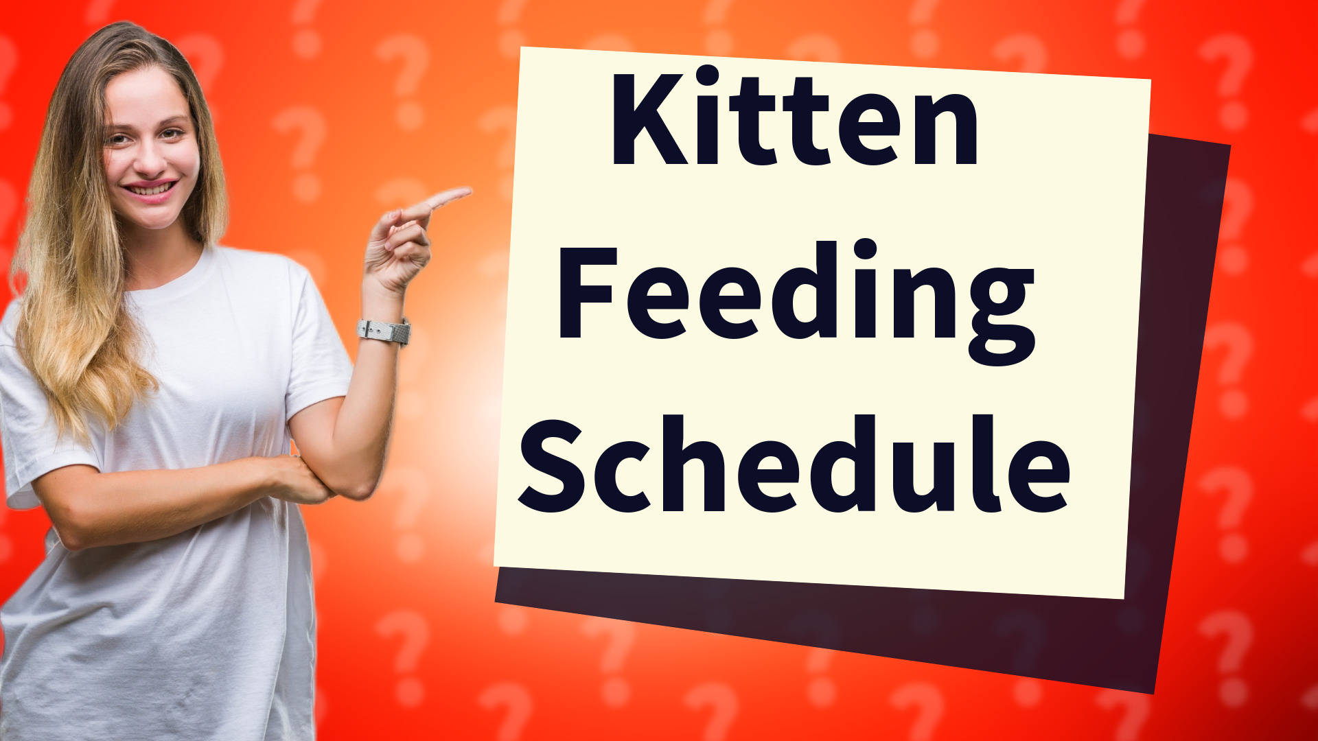 Kitten Feeding Schedule