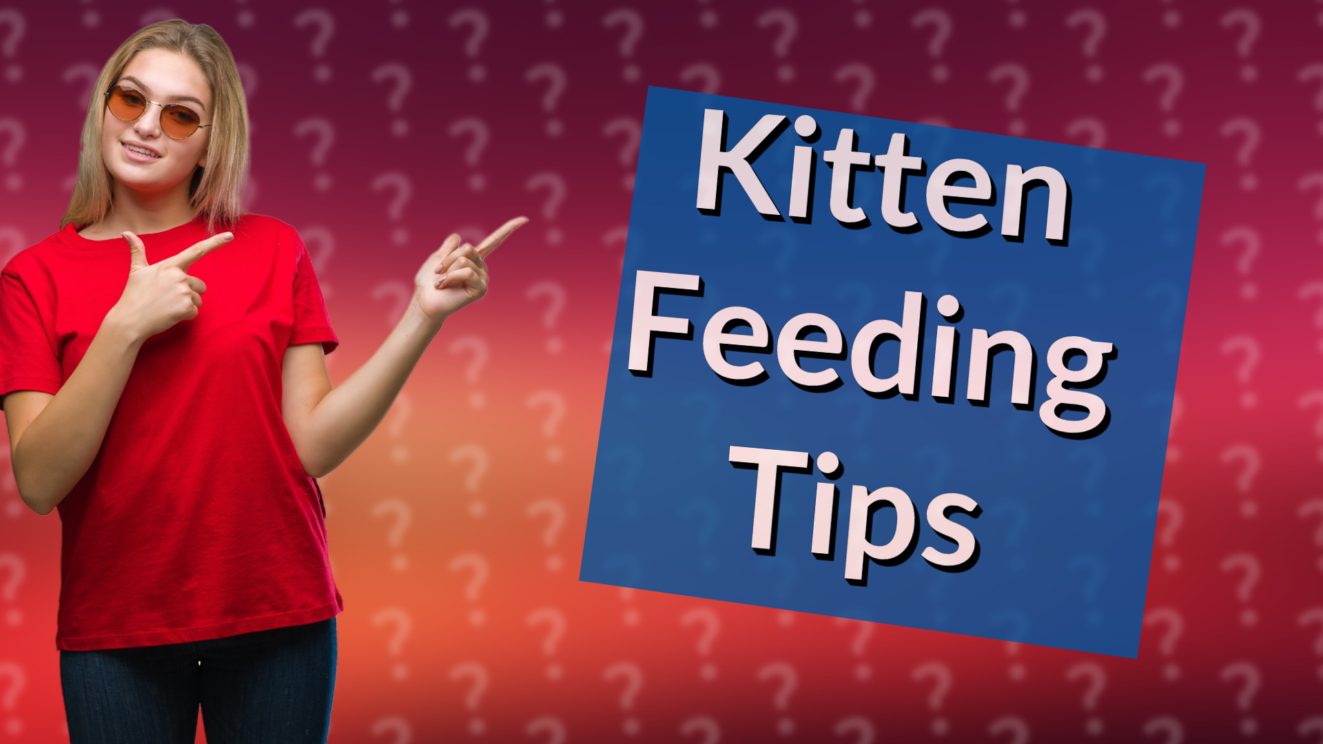 Kitten Feeding Tips