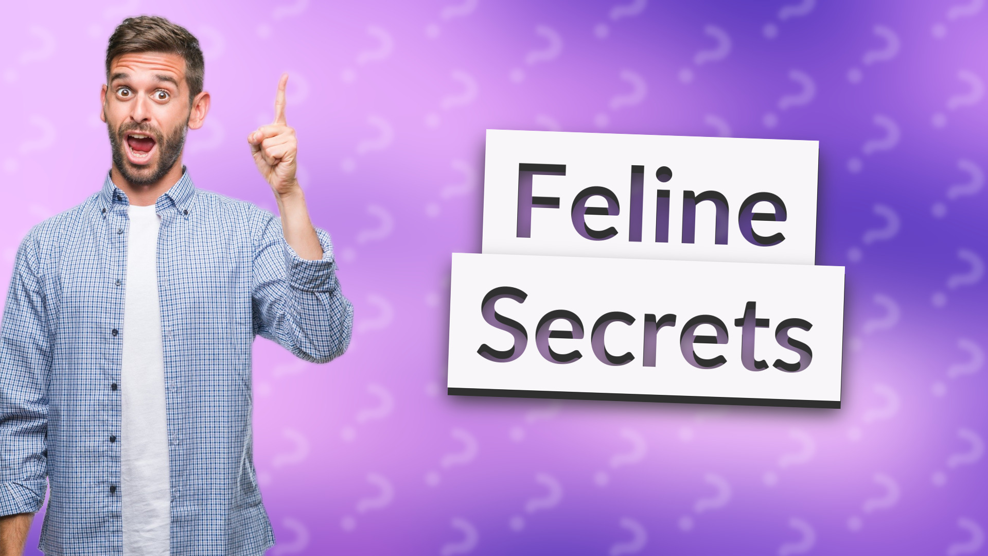 Feline Secrets