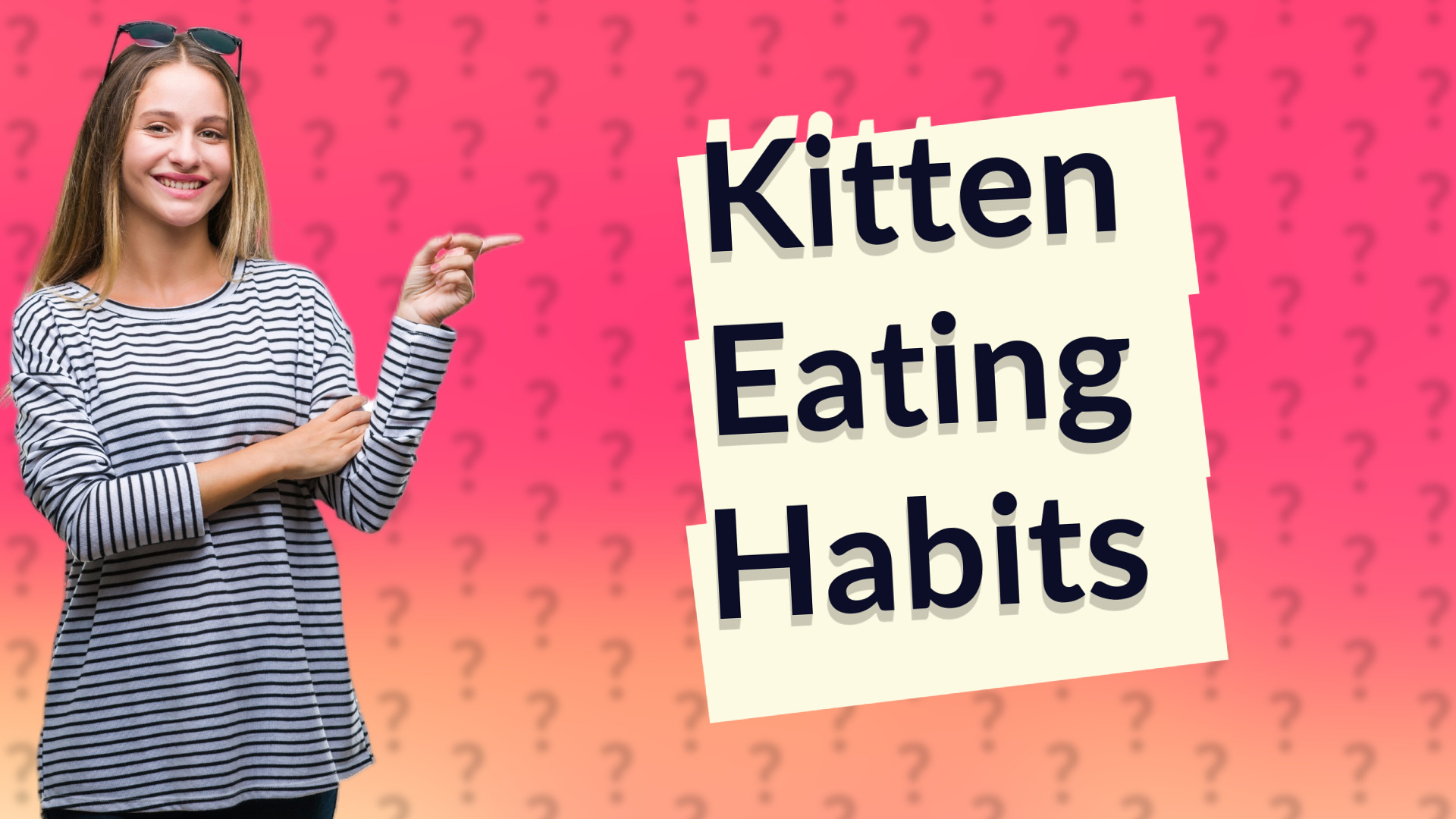 Kitten Eating Habits