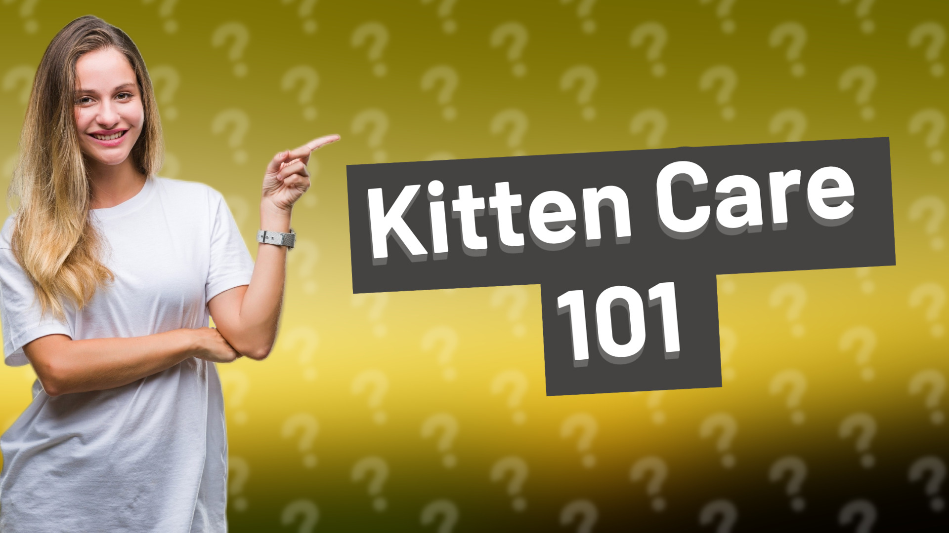 Kitten Care 101