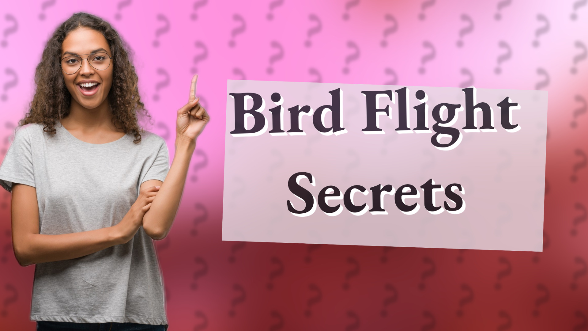 Bird Flight Secrets