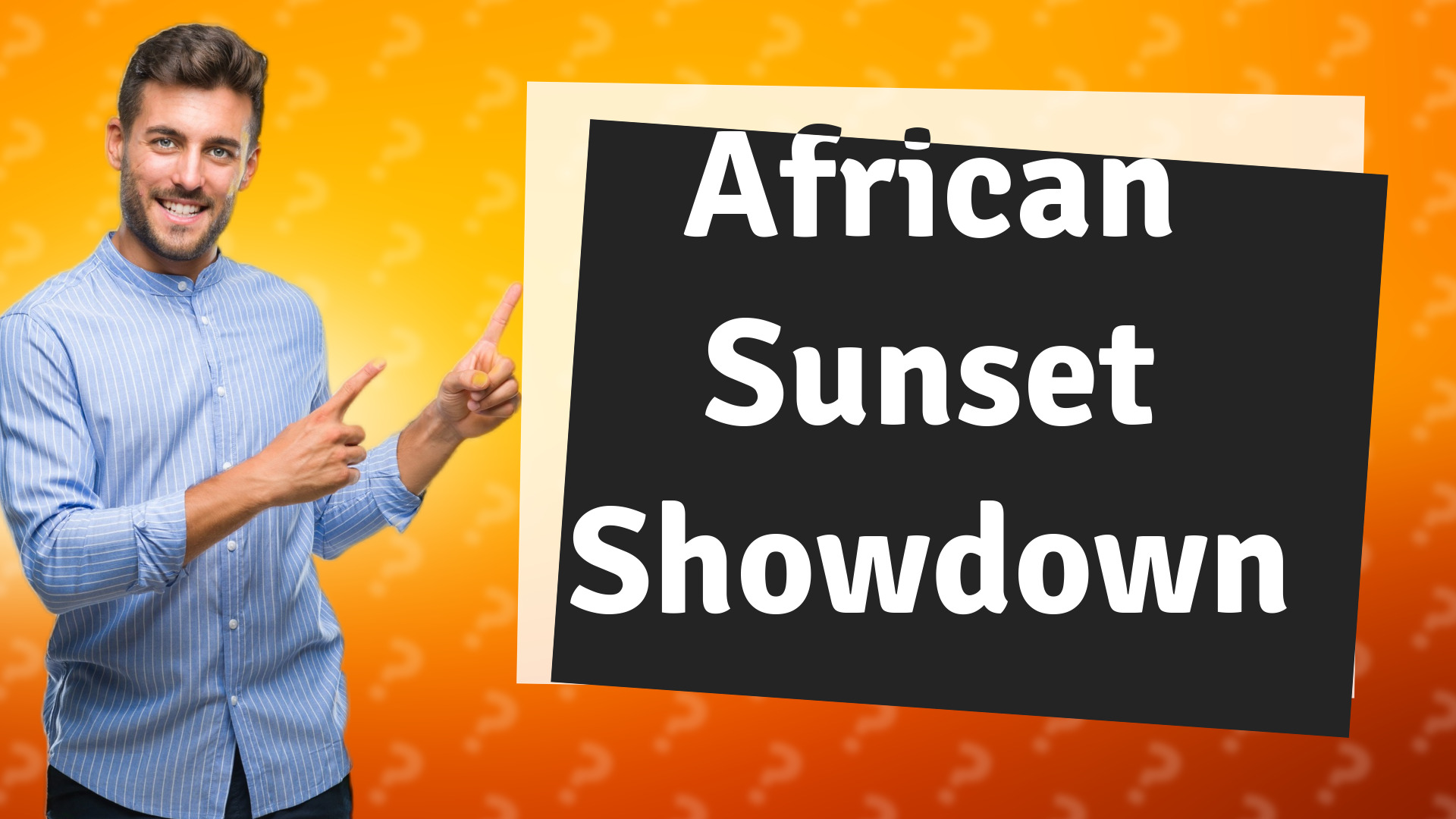 African Sunset Showdown