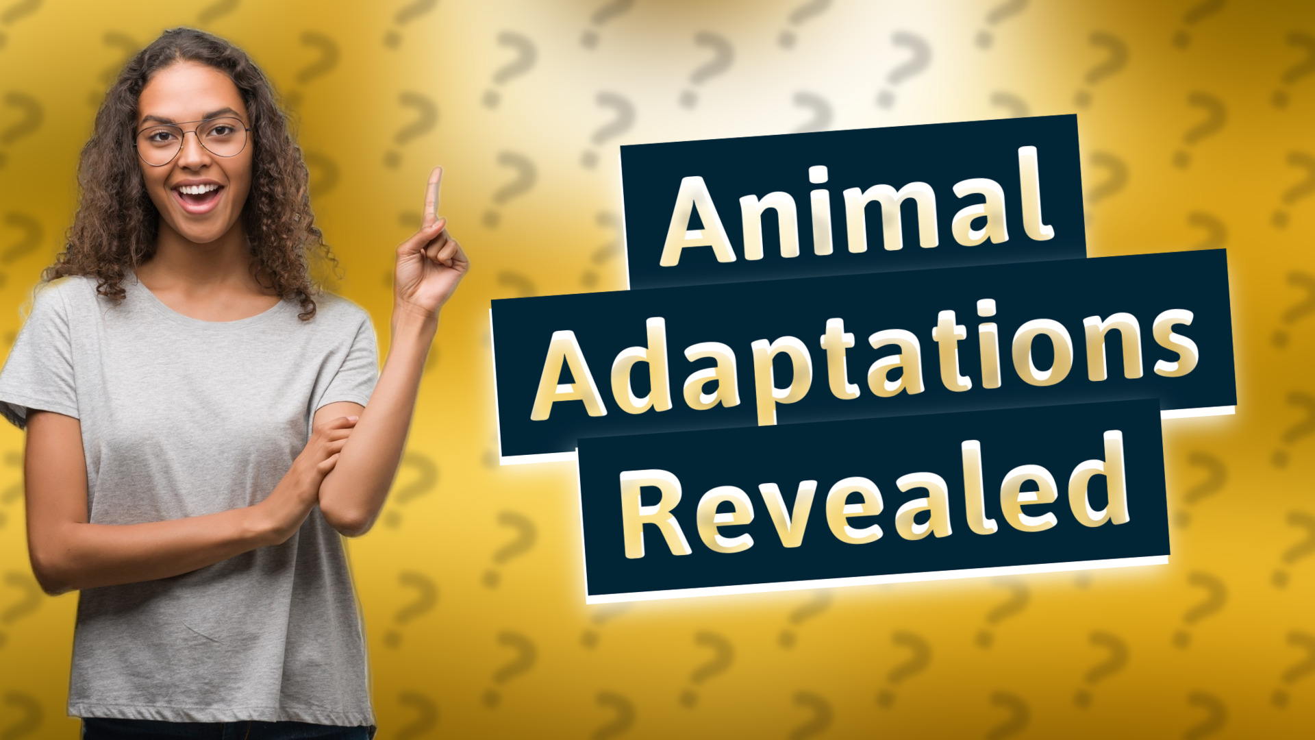 Animal Adaptations Revealed