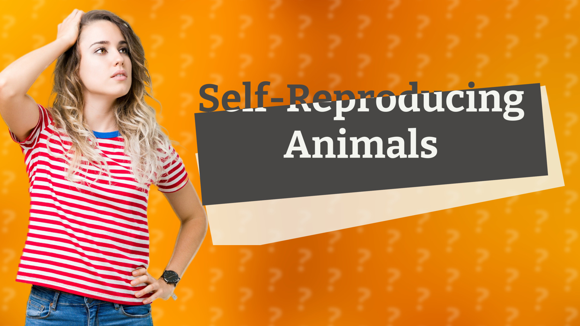 Self-Reproducing Animals