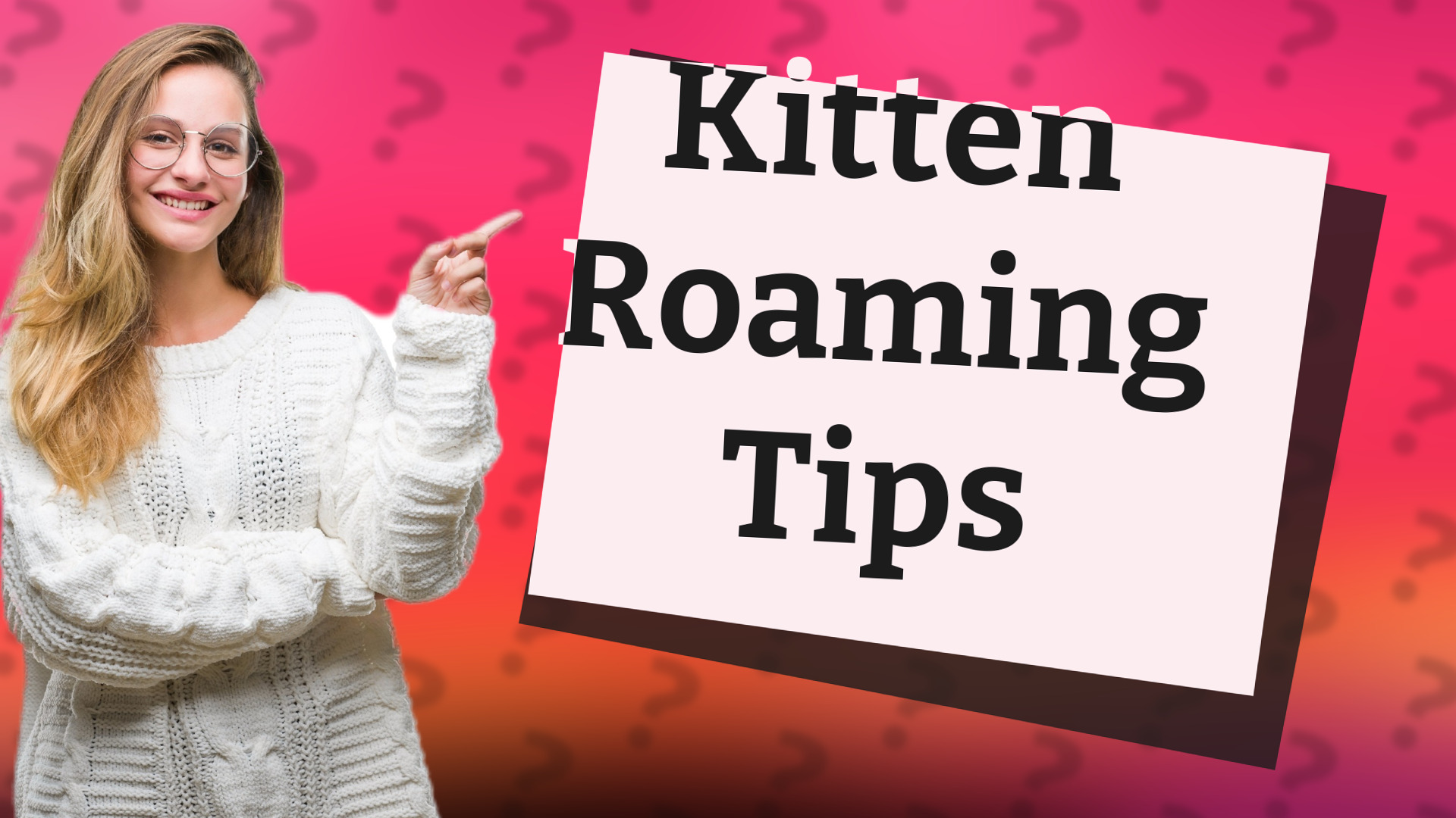 Kitten Roaming Tips