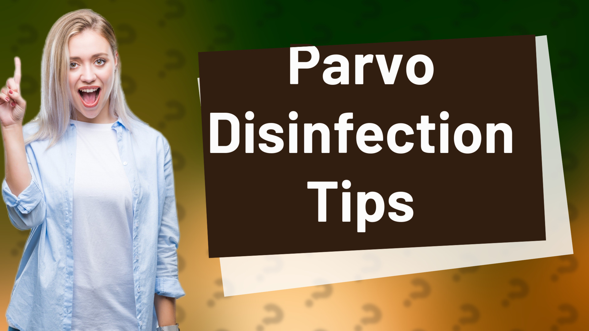 Parvo Disinfection Tips