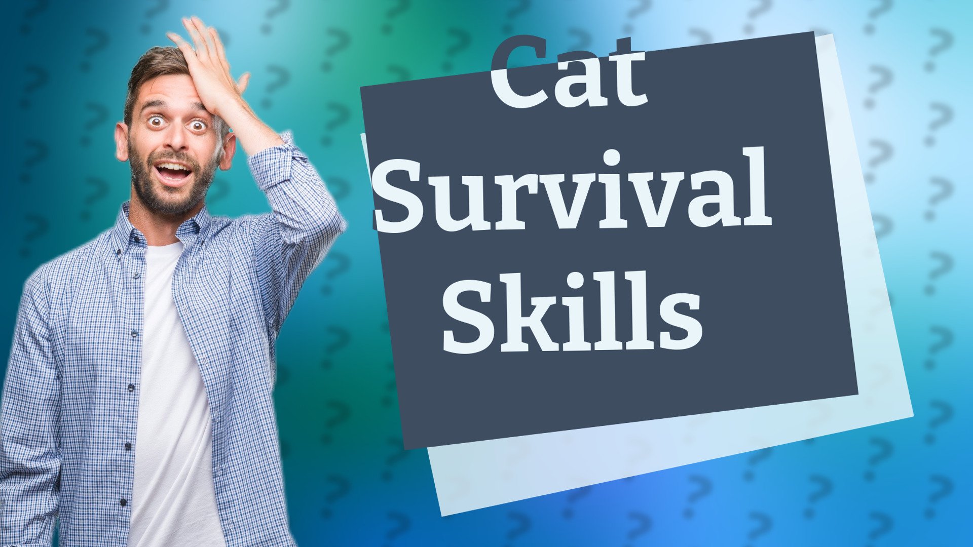 Cat Survival Skills