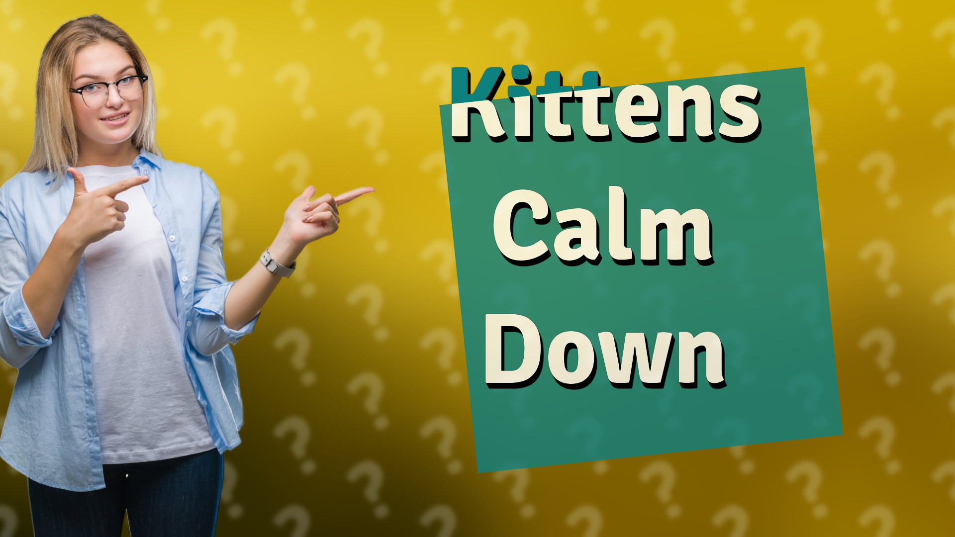 Kittens Calm Down