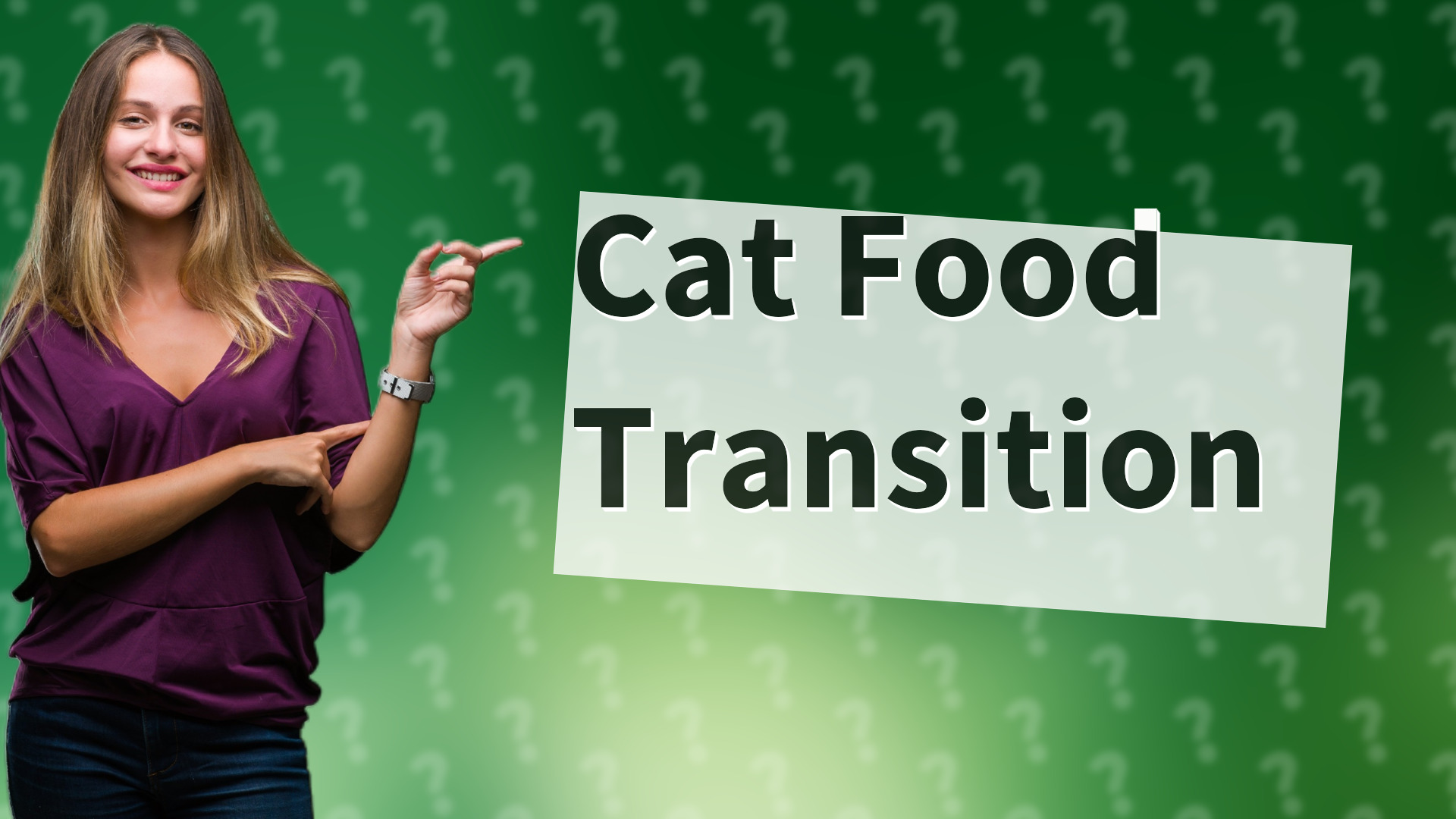 Cat Food Transition