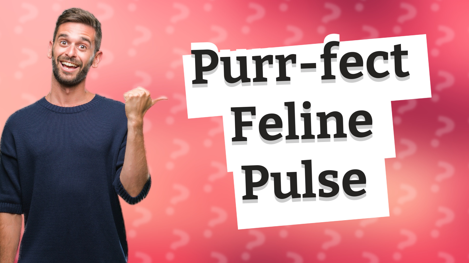 Purr-fect Feline Pulse